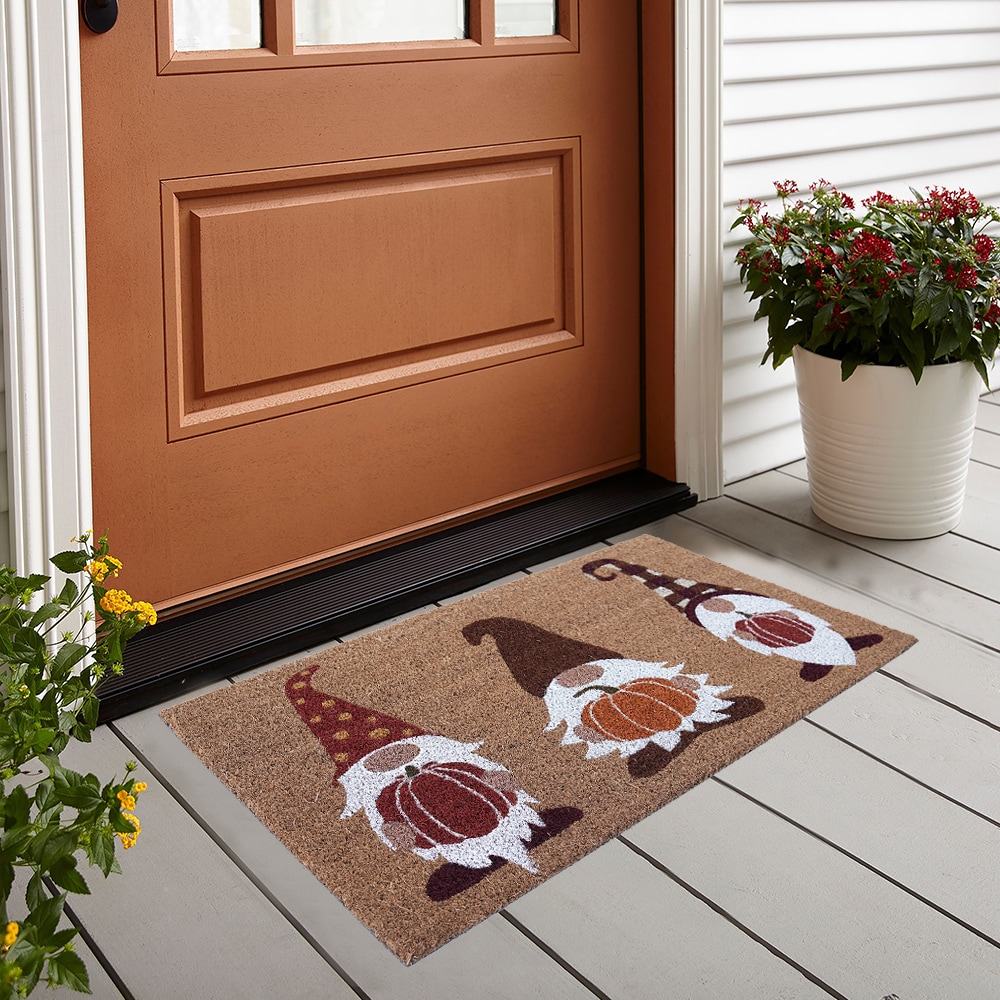 Style Selections 2-ft x 3-ft Natural Rectangular Indoor Fall Door Mat in  the Mats department at