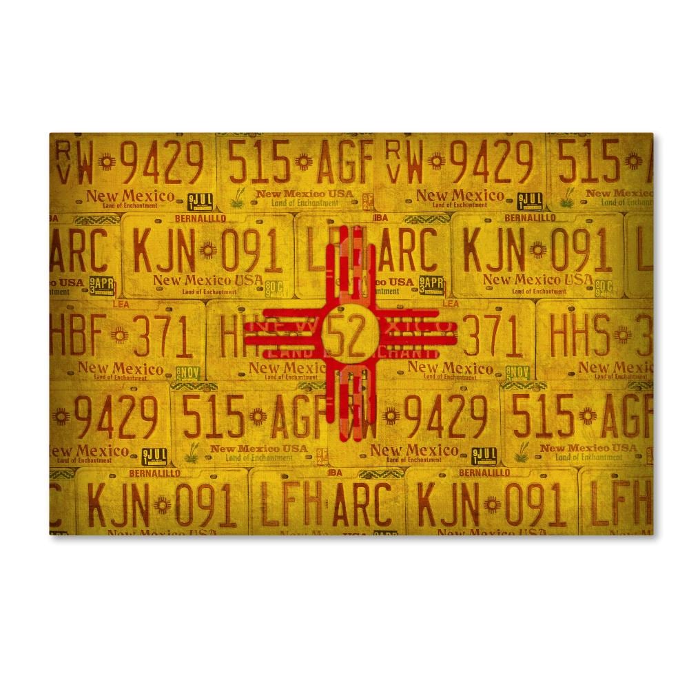 Trademark Fine Art ALI11330-C1624GG Framed 16-Inches H x 24-Inches W Maps Canvas Print