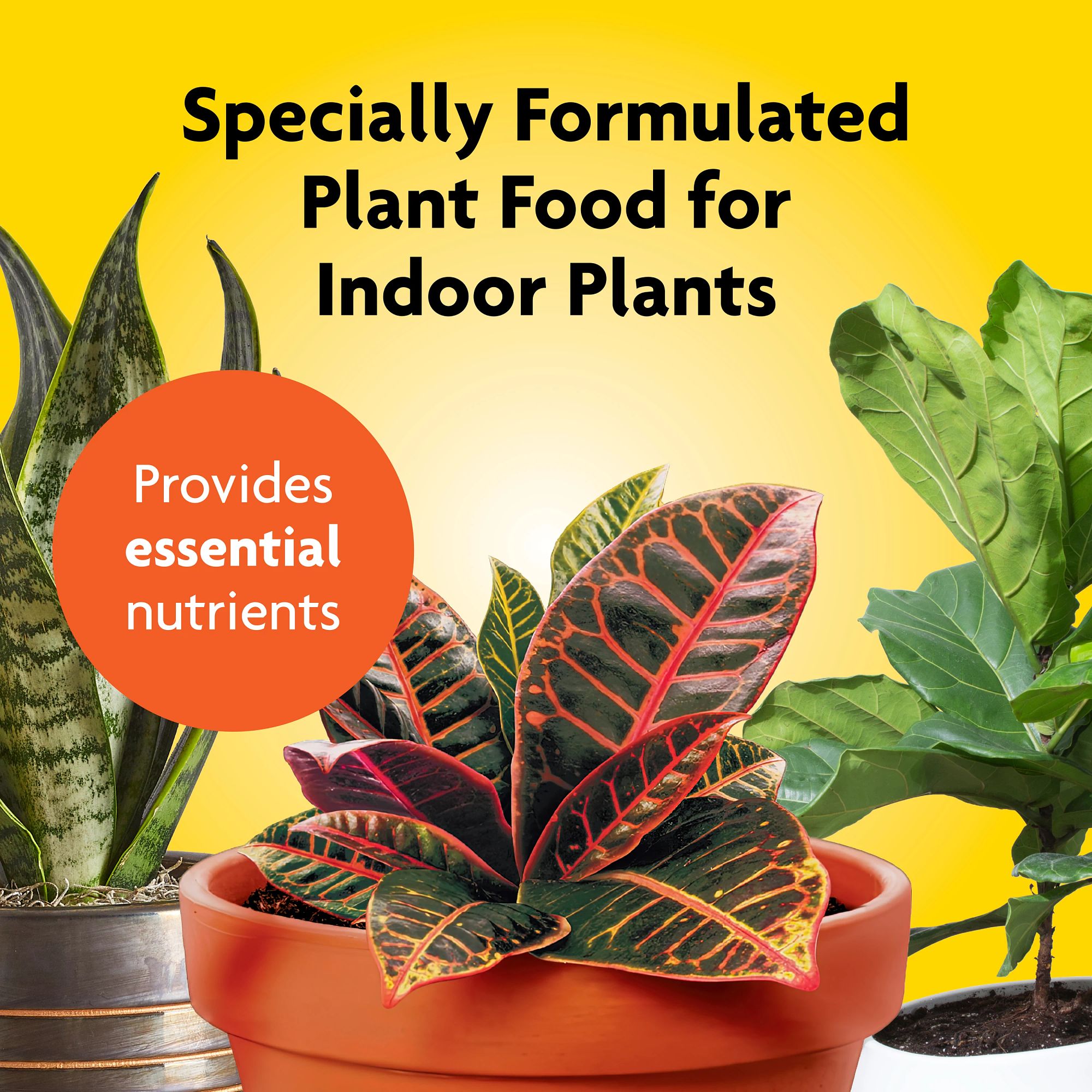 Miracle-Gro VB3000551 Plant-Food - View #3