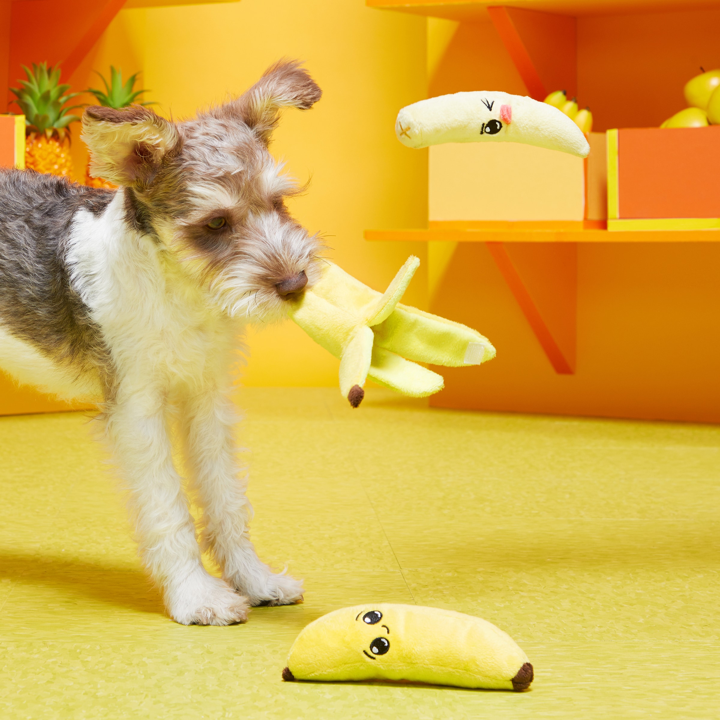 BARK 706589 Dog-Toys - View #4