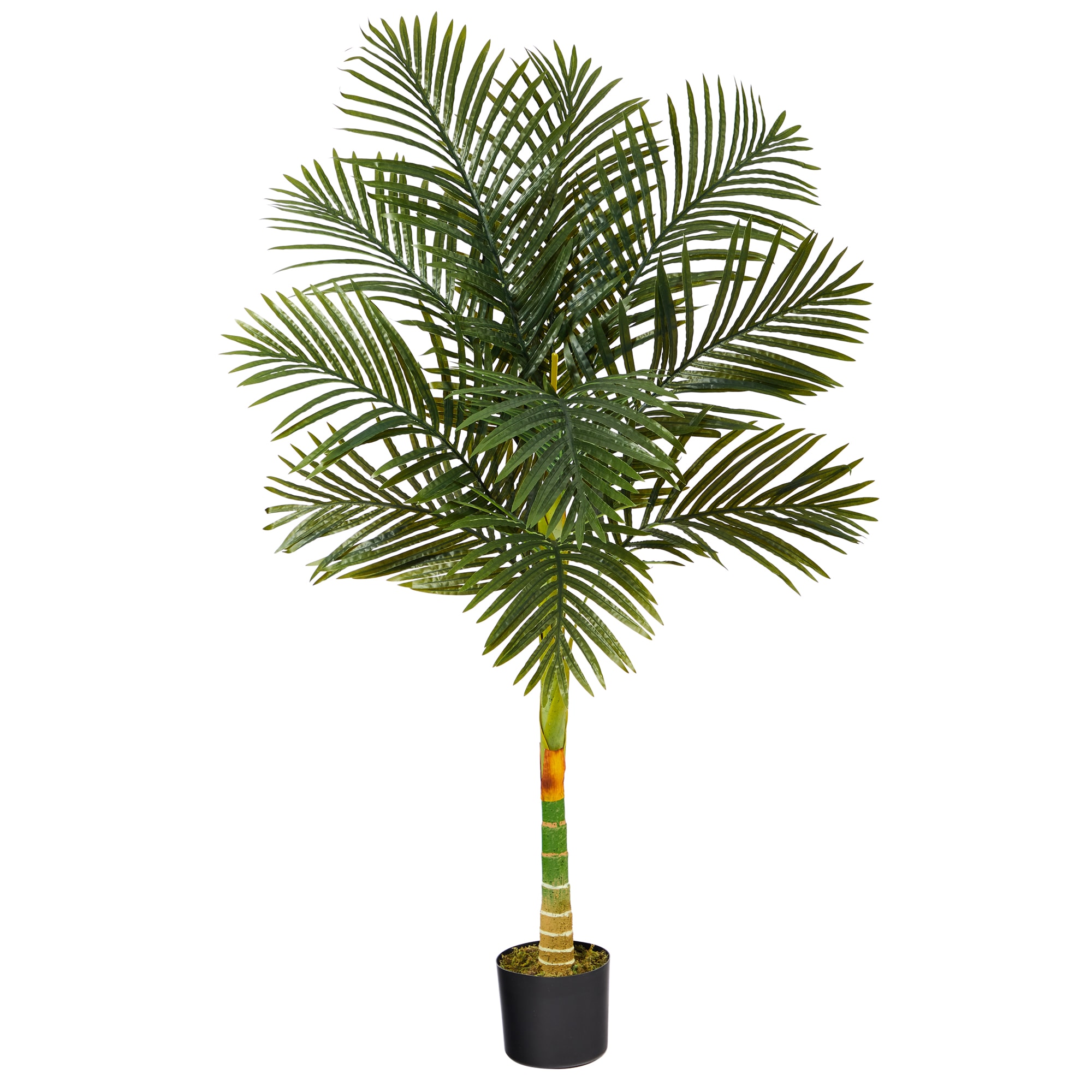 Nearly Natural 60-in Green Indoor Palm Artificial Tree in the ...
