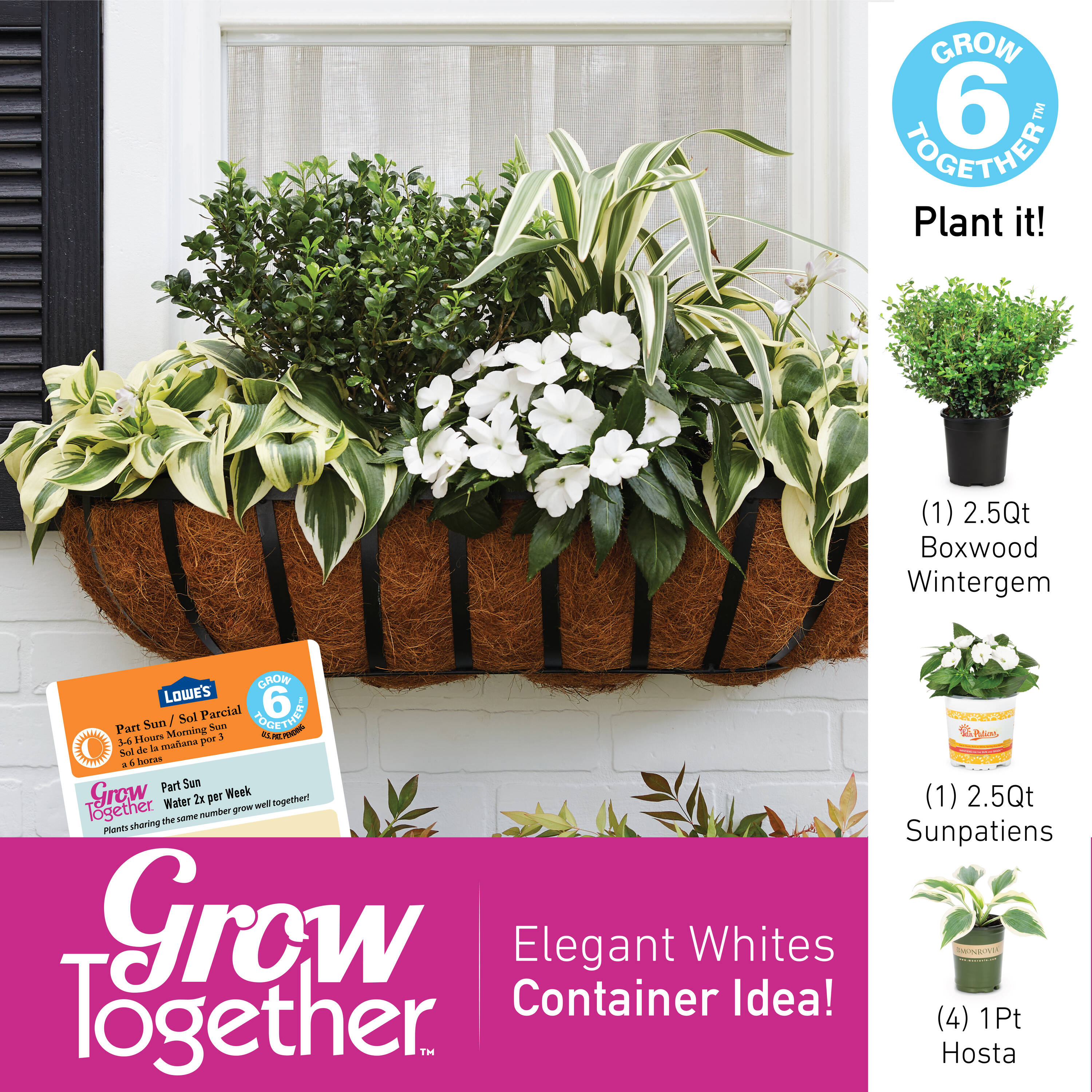 Lowe's NURSERY shrubs - View #3