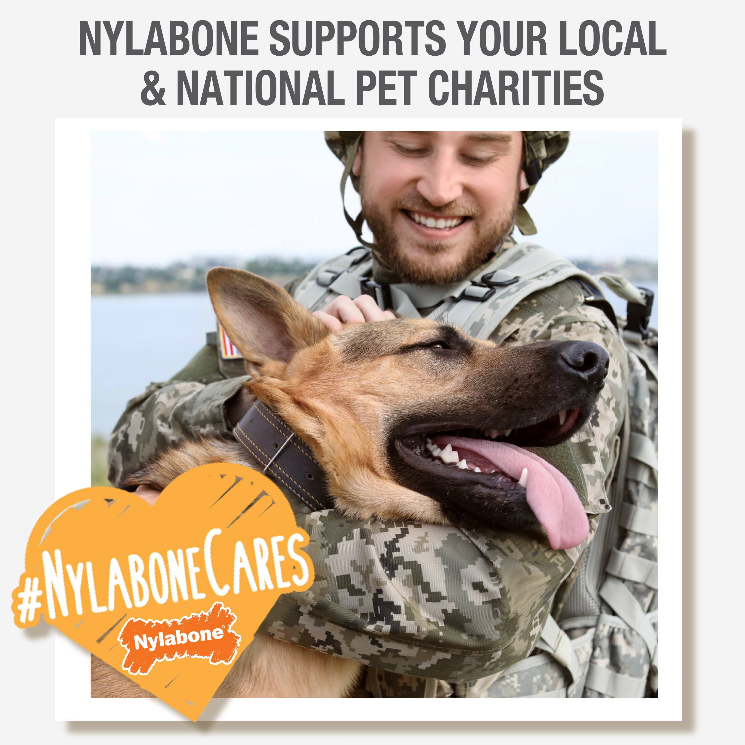 Nylabone NFSB105W Dog-Toys - View #6