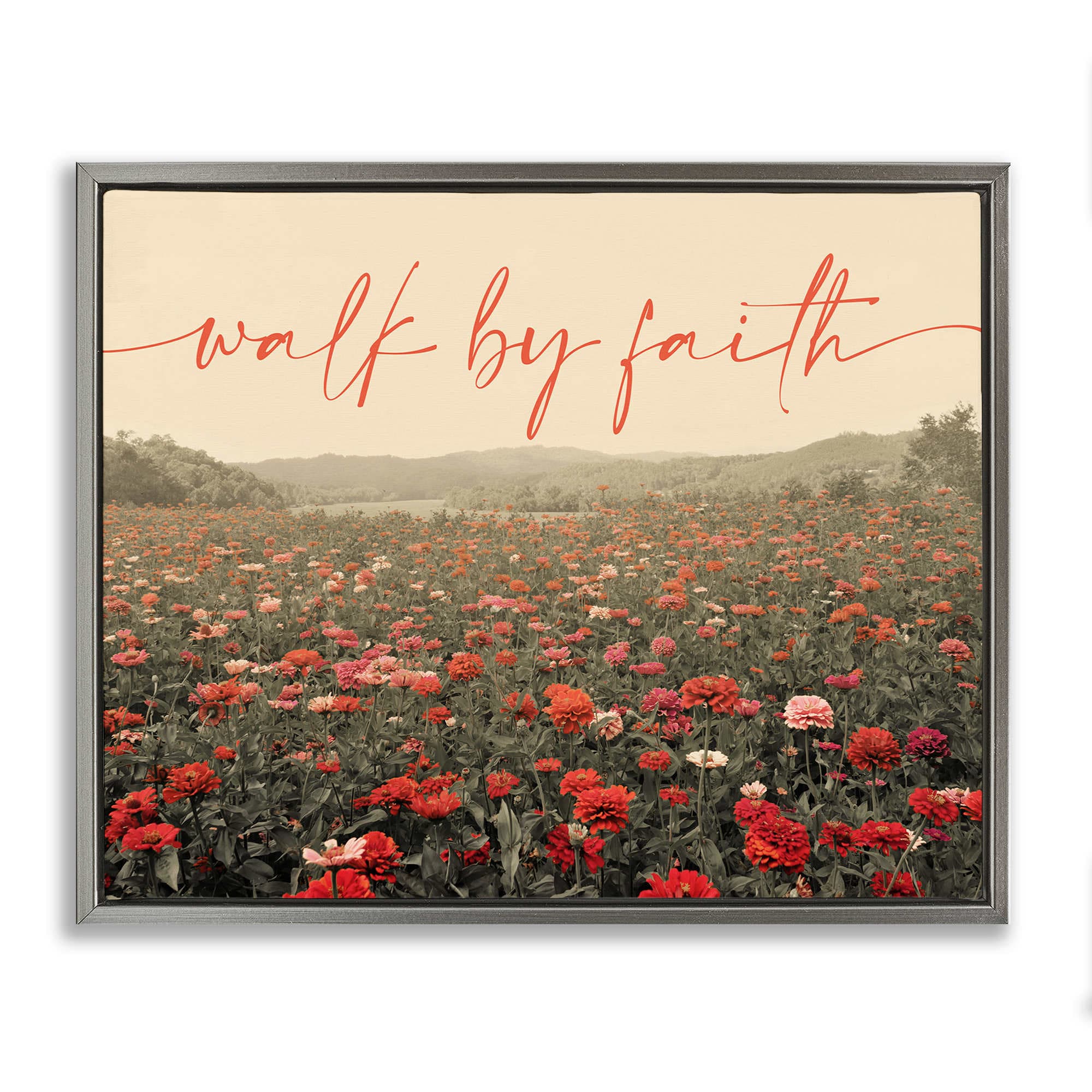 Stupell Industries BS-829-FFL-16X20 Walk By Faith Garden Gray Framed Floater Canvas Wall Art By GAIL PECK 21 x 17