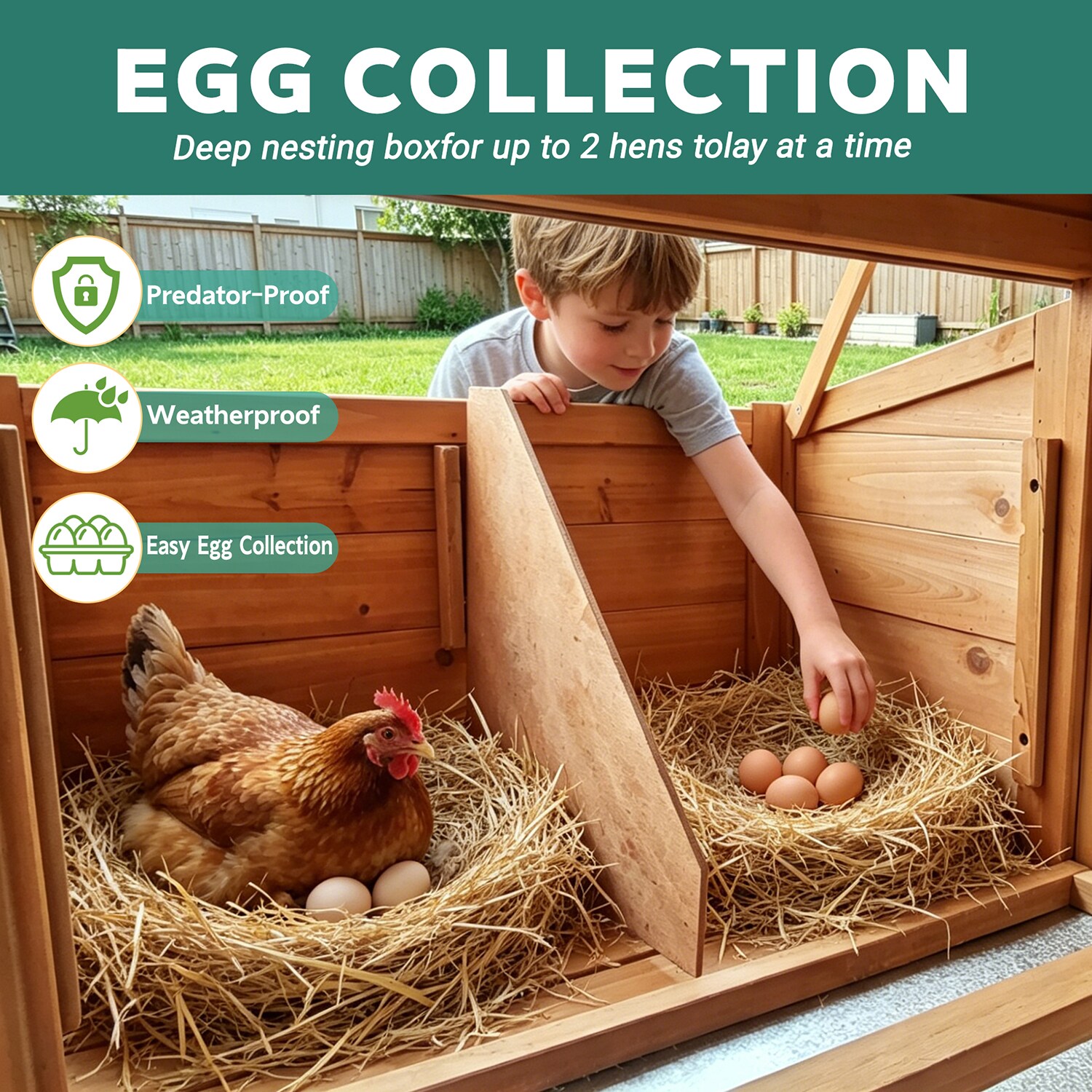 GZMR GZ-TPW91AE Chicken-Coops-Rabbit-Hutches - View #7