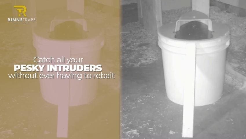 A thumbnail for the video