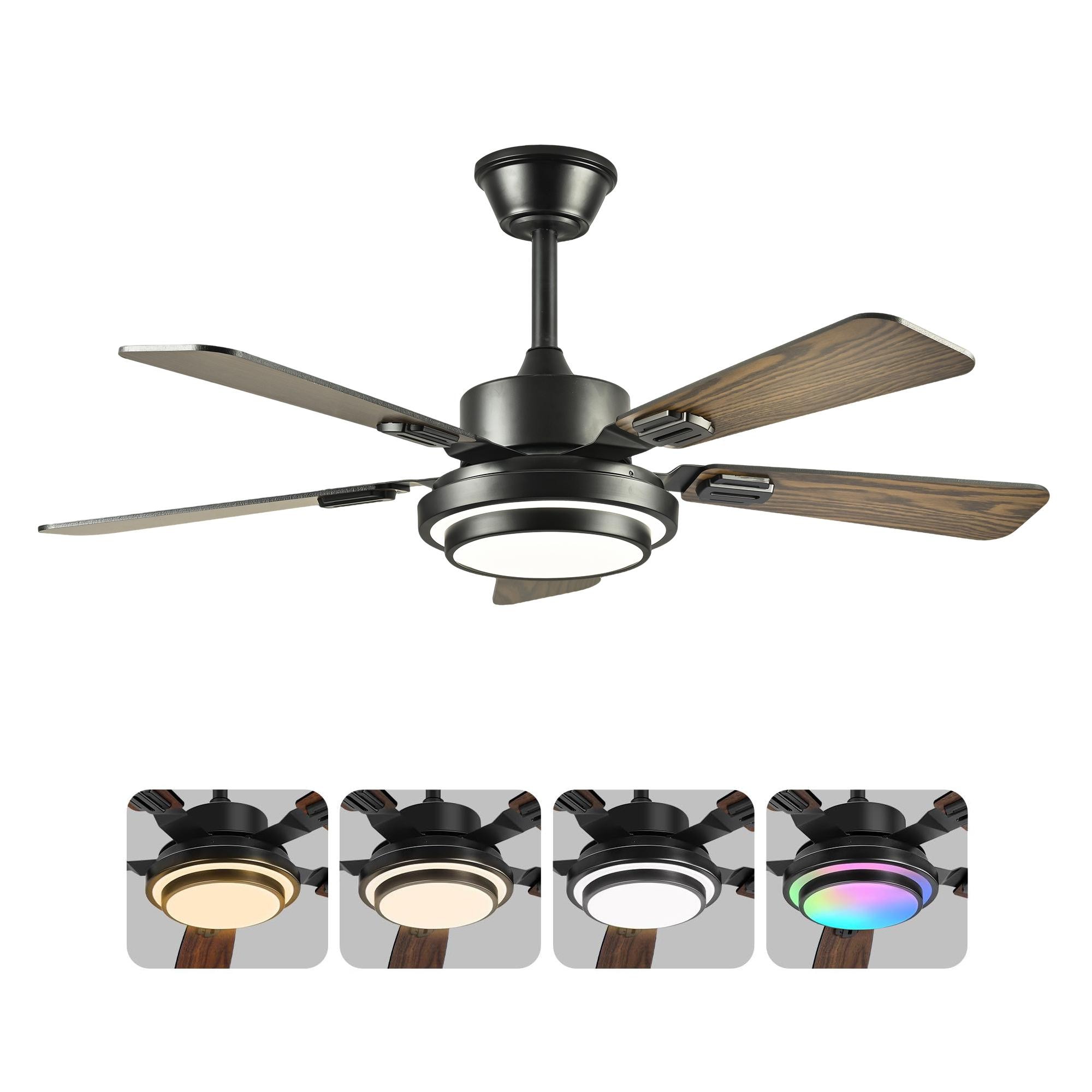 Bayfeve BF-462052-MP Ceiling-Fans - View #14