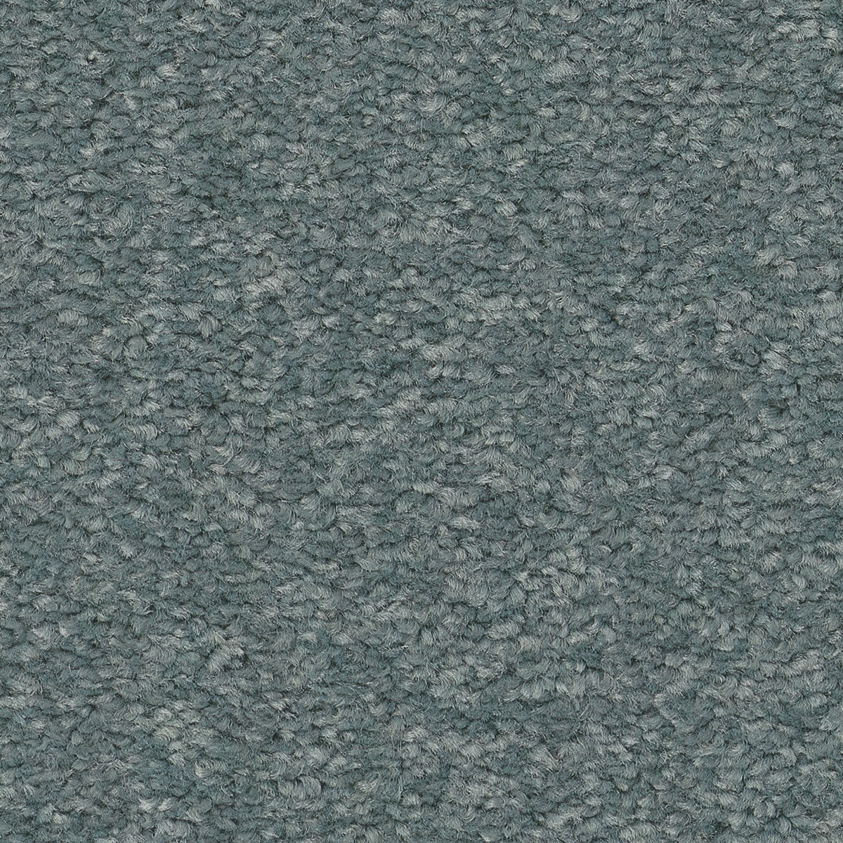 STAINMASTER PetProtect 7L883 - 400 - SAMP (Sample) Best of Breed III Rain Cloud Blue 68.2-oz sq yard Nylon Textured Indoor Carpet