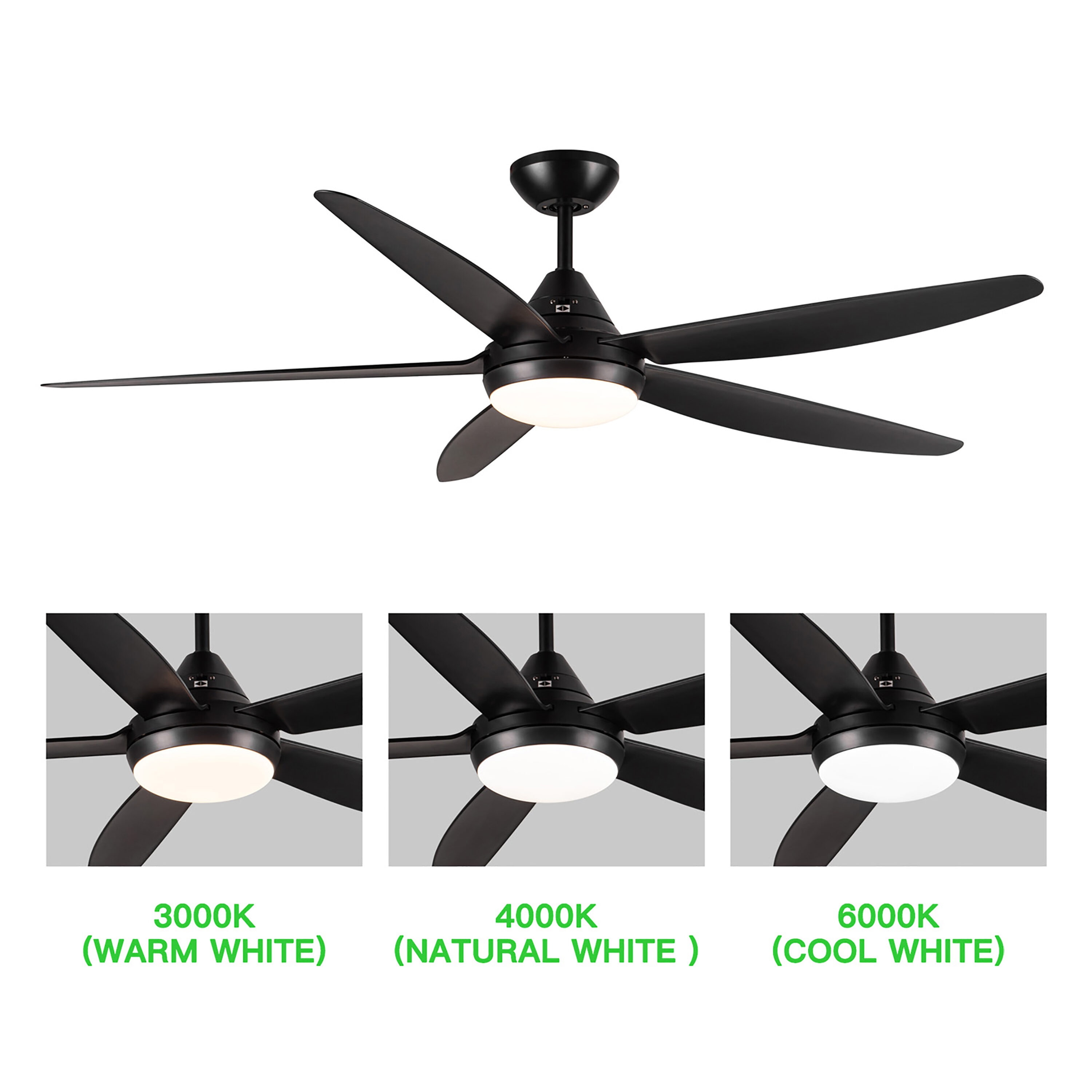 Maincraft D01-CF049 Ceiling-Fans - View #10