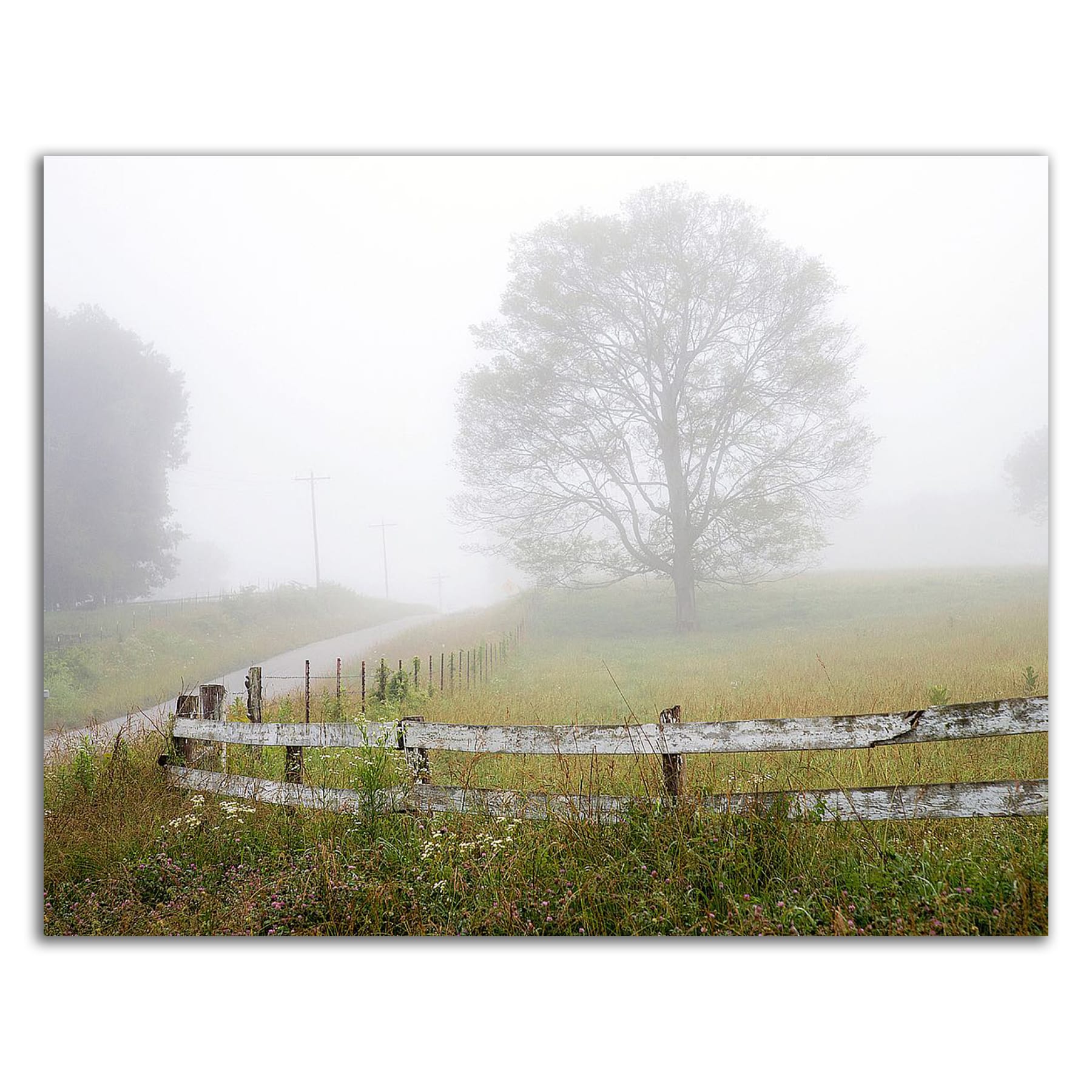 Tangletown Fine Art 8H1526DC-2721 Wall-Art - View #3