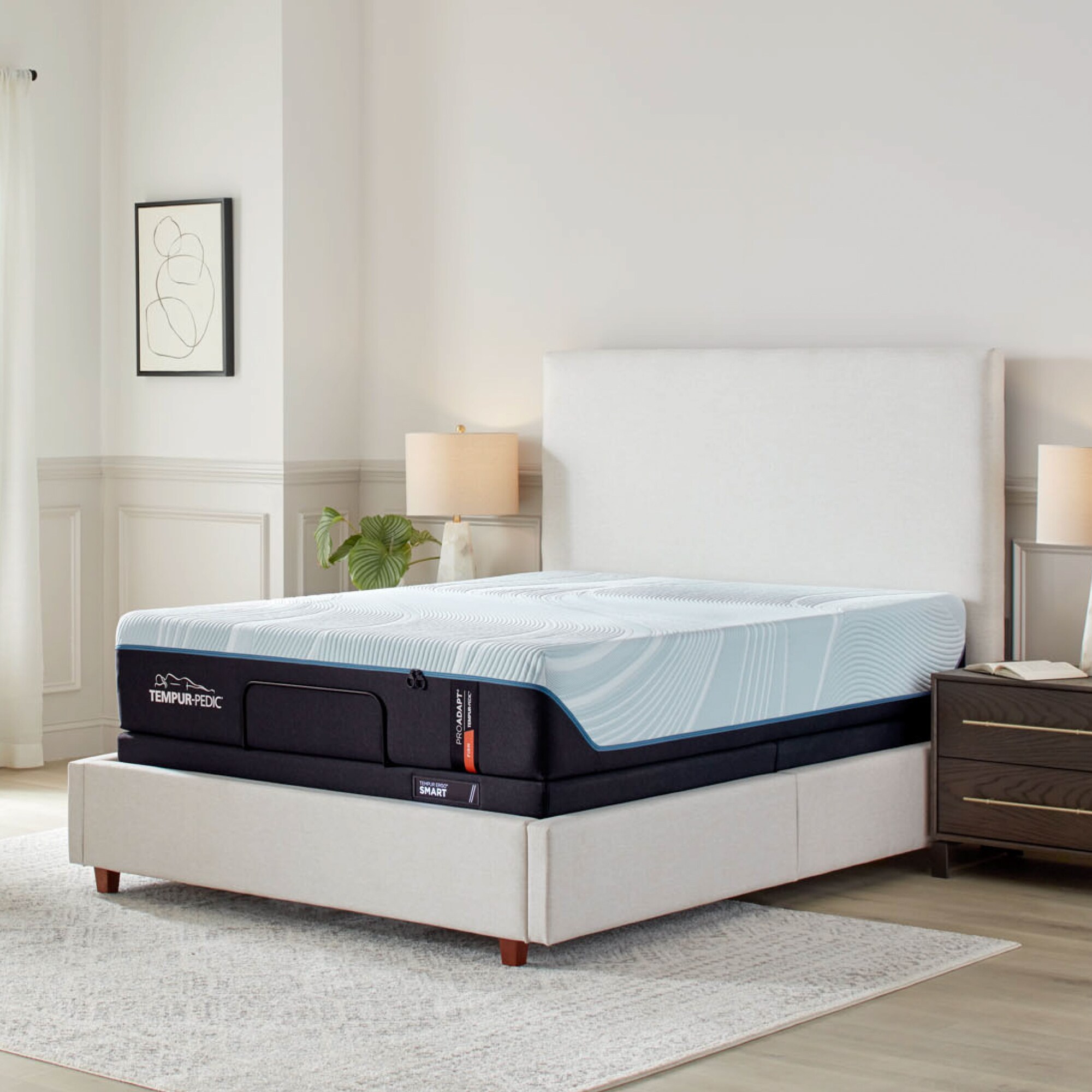 TEMPUR-PEDIC 10747131 Mattresses-Boxsprings - View #9