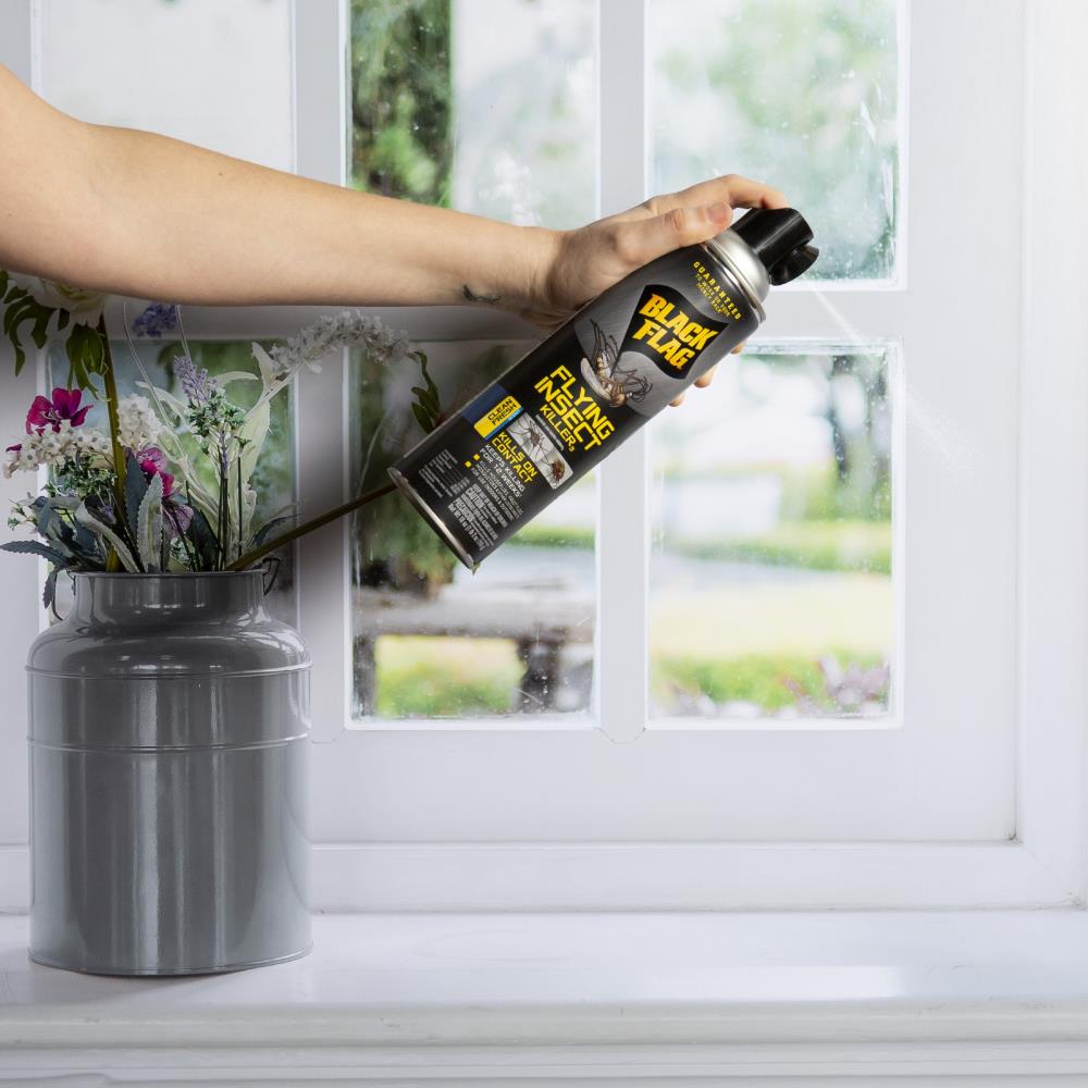 BLACK FLAG Flying Aerosol 18-oz Insect Killer Aerosol in the