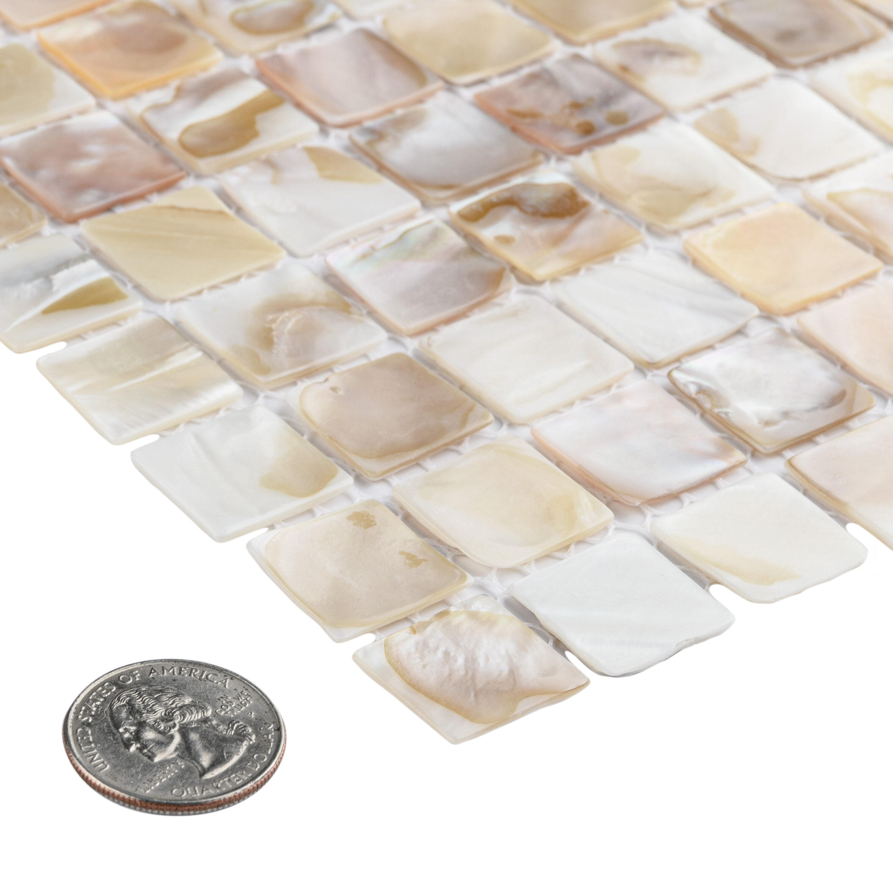 Affinity Tile S1GFNCSQN Tile-Samples - View #2