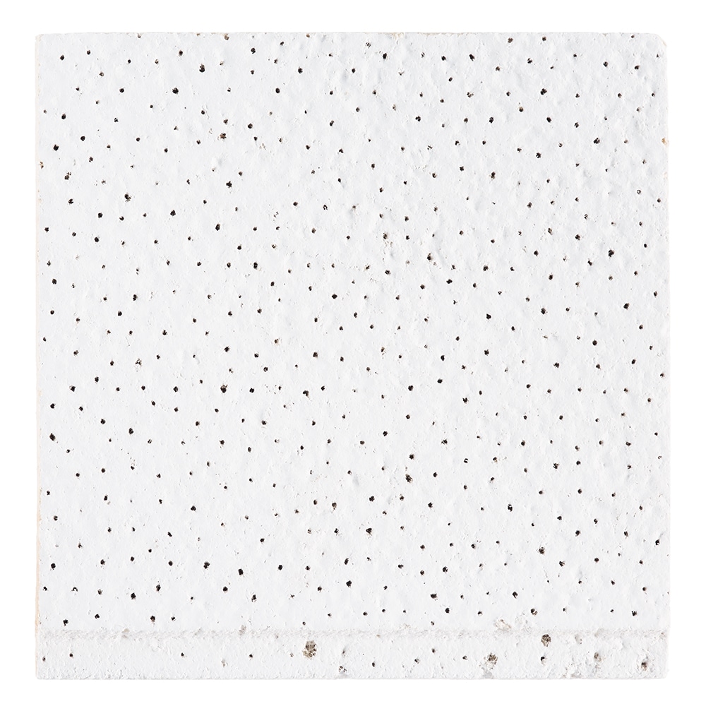 Armstrong Ceilings RSM266 Ceiling-Tile-Samples - View #2