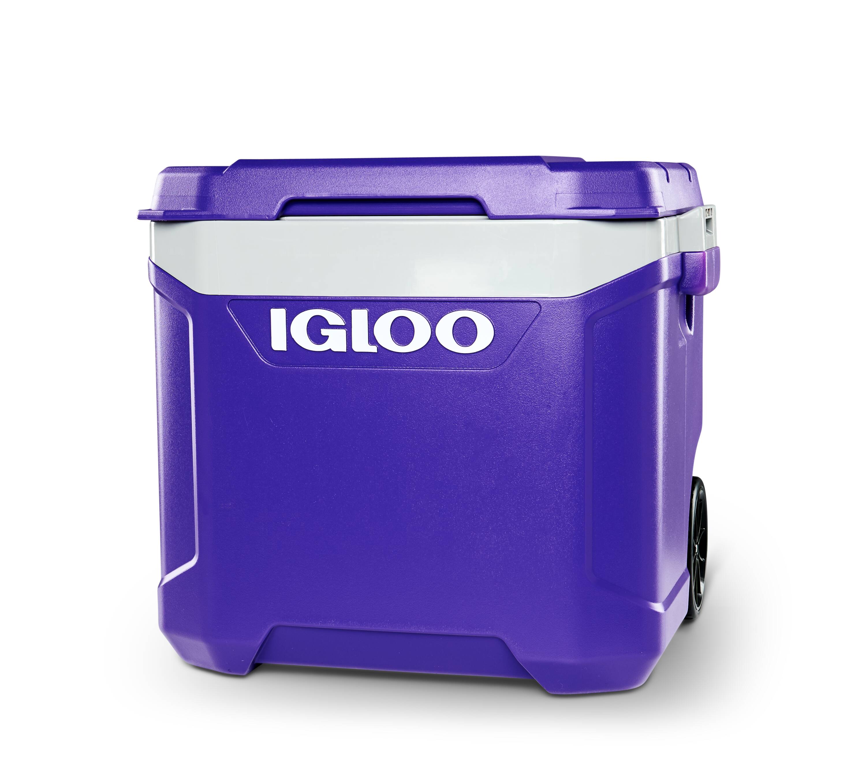 Igloo Purple.Wht.Meteorite.Blk 60-Quart Wheeled Insulated Personal ...