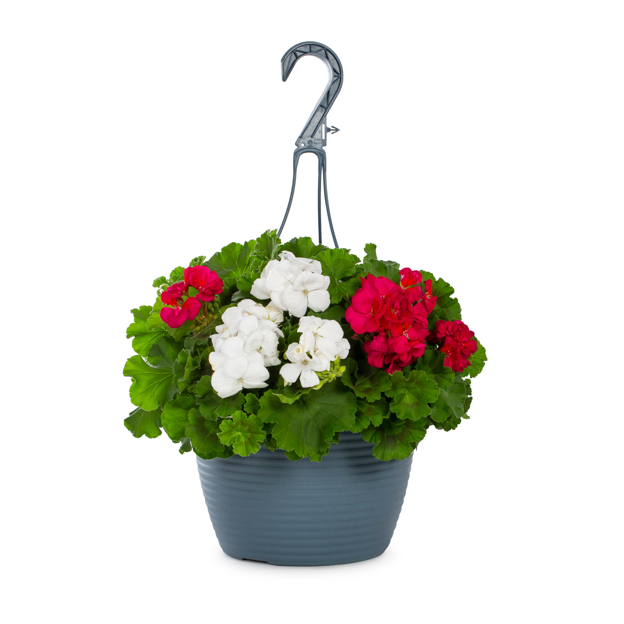 Lowe's 219151 annuals - View #3