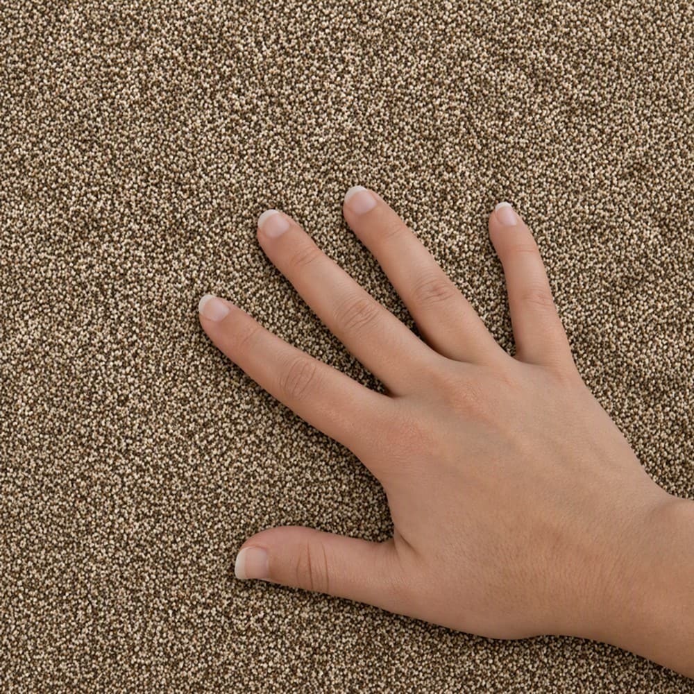 STAINMASTER SS019-L004-0808 Carpet-Samples - View #5