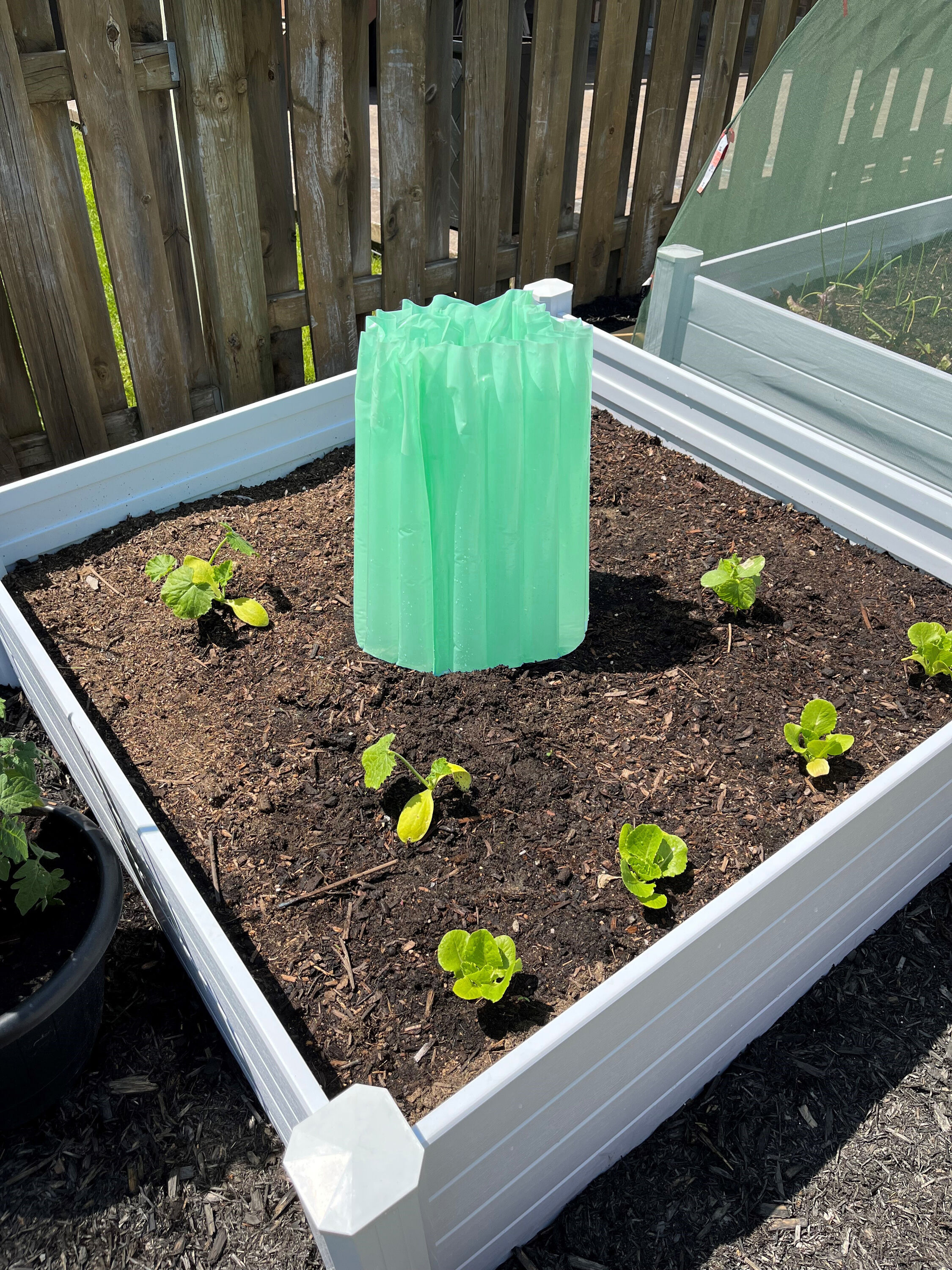 NuVue Products 24047 Winter-Plant-Protect - View #3