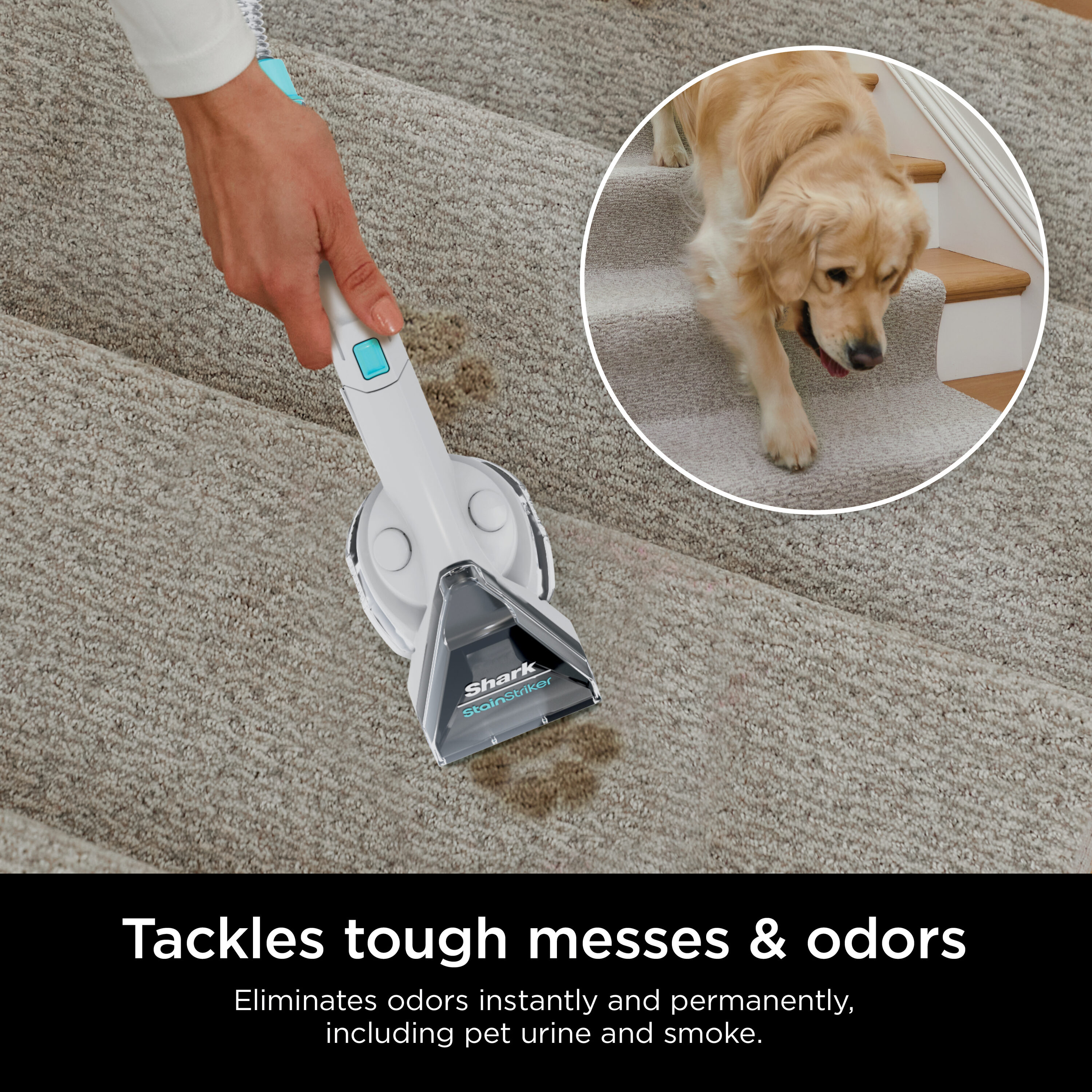 Shark PXCMBUNDLE Carpet-Cleaners - View #5