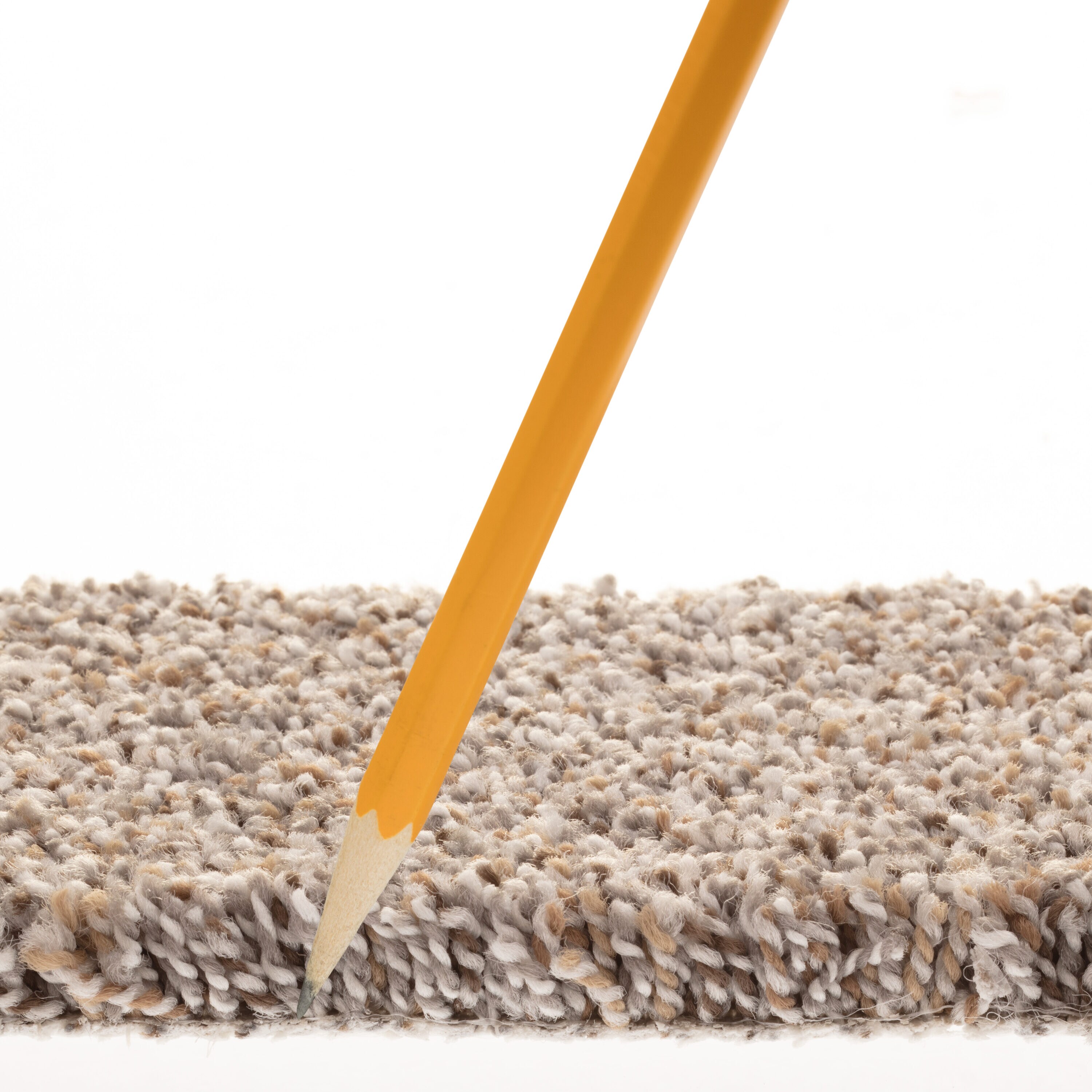 STAINMASTER 7L910 - 571 - SAMP Carpet-Samples - View #6