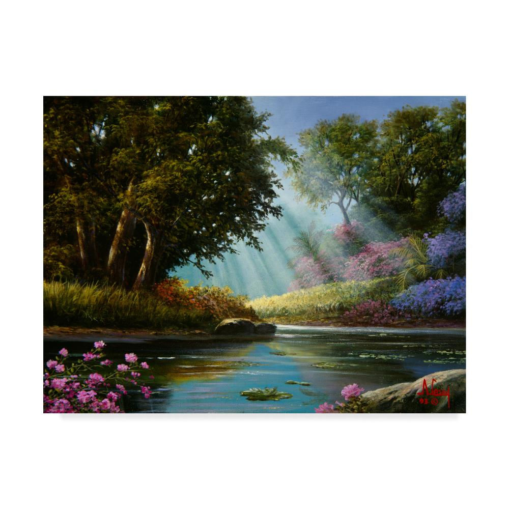 Trademark Fine Art Anthony Casay -inGarden 1-in 14x19 Canvas Art in the ...