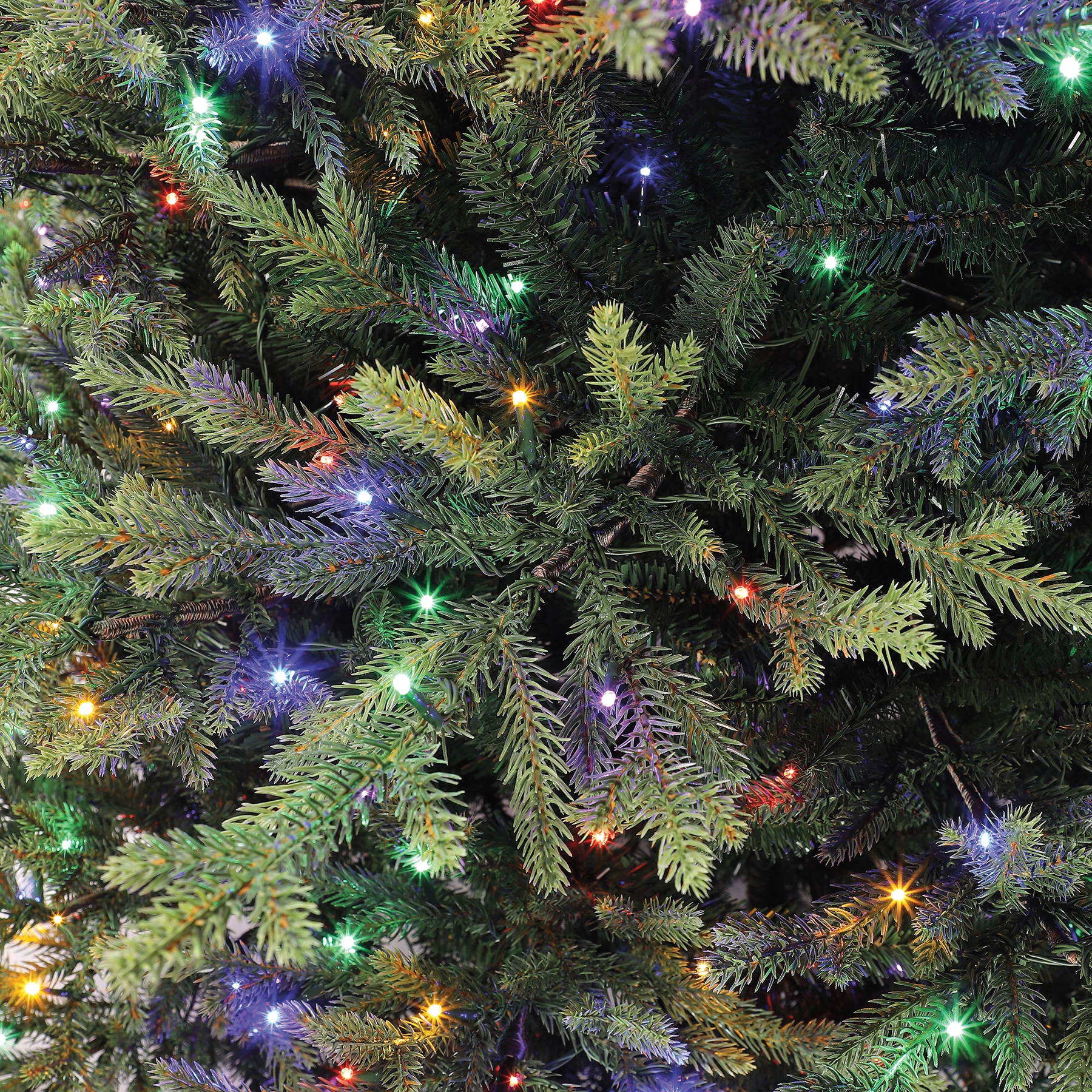Holiday Living L22T14-75QLD3K10 Artificial-Christmas-Trees - View #3