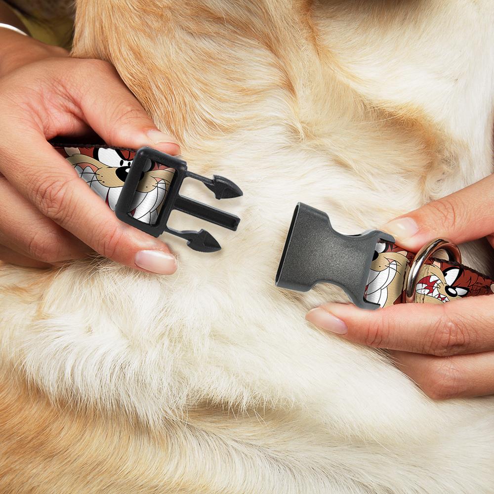 Buckle-Down CPC-WLTTZ001-M Dog-Collars-Harnesses - View #2