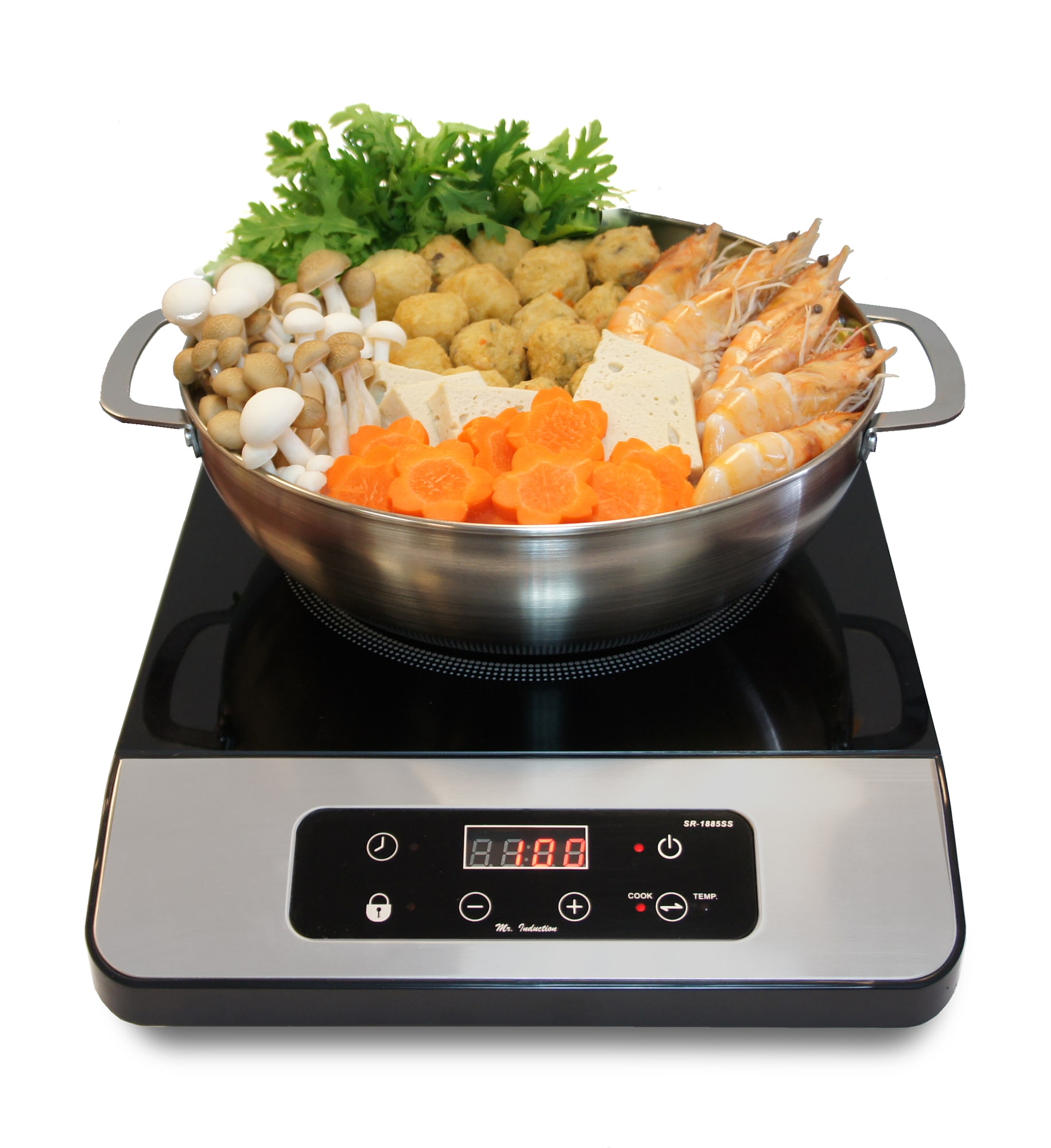 Lactuca 11 inch Portable Induction Cooktop