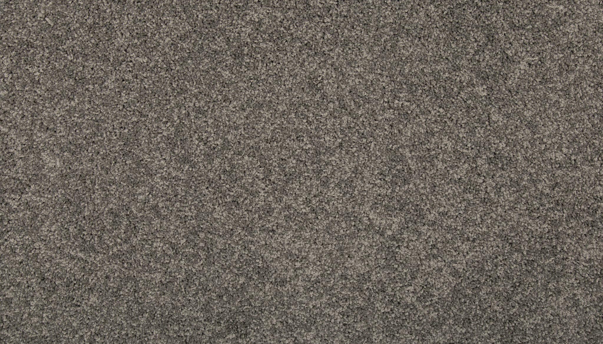 STAINMASTER SS011-L012-0808 (Sample) Memorable Touch I Ashen Grey Gray 35-oz sq yard Solution-dyed polyester Textured Indoor Carpet