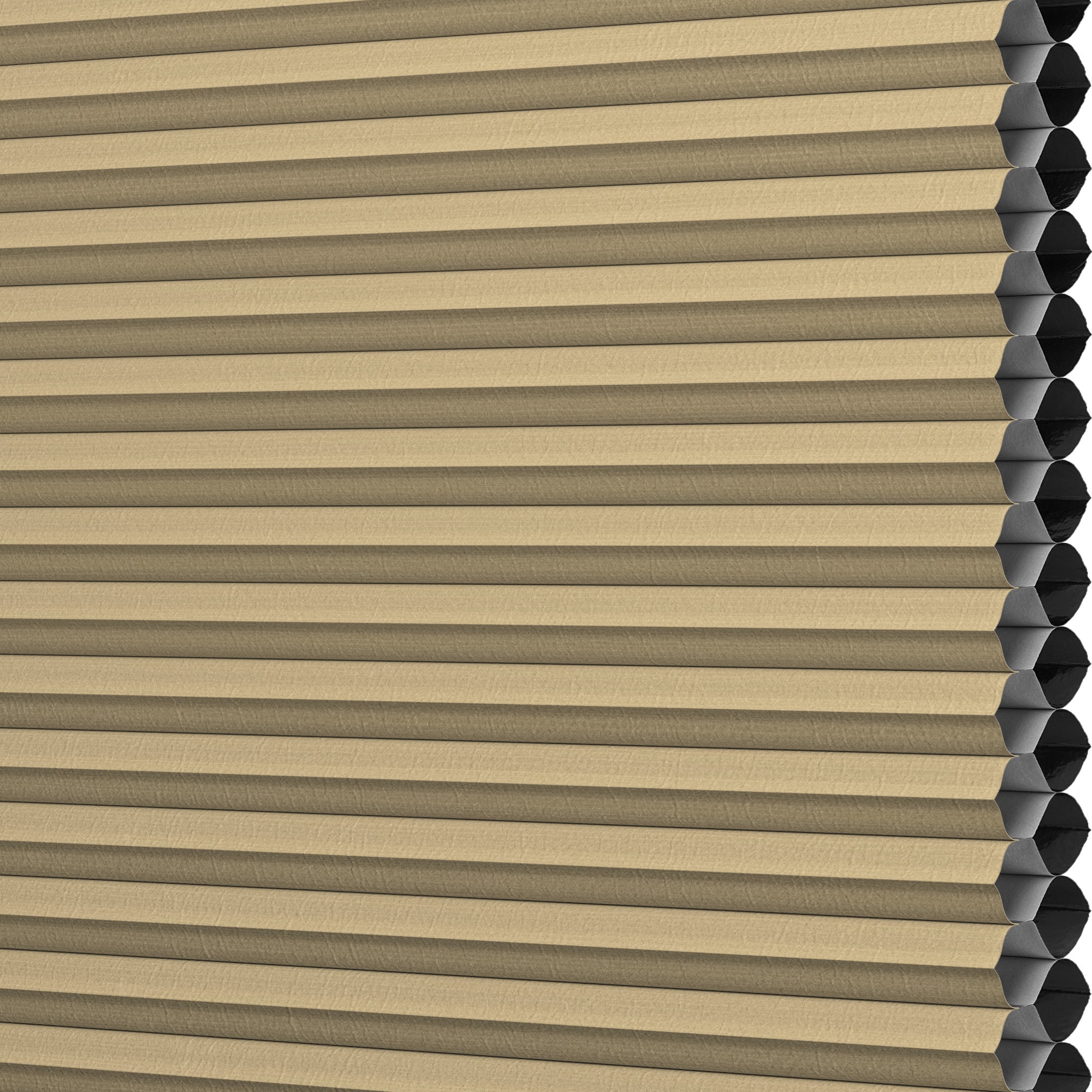 LEVOLOR 511495 Designer Colors Cappuccino Blackout Polycotton 1/2-in Double Designer Colors Cellular shade swatch