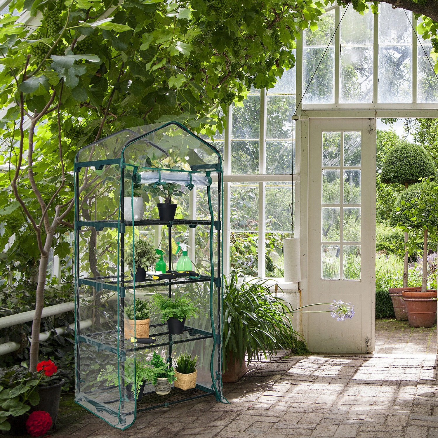WELLFOR GT-HJY-3774 greenhouses - View #6