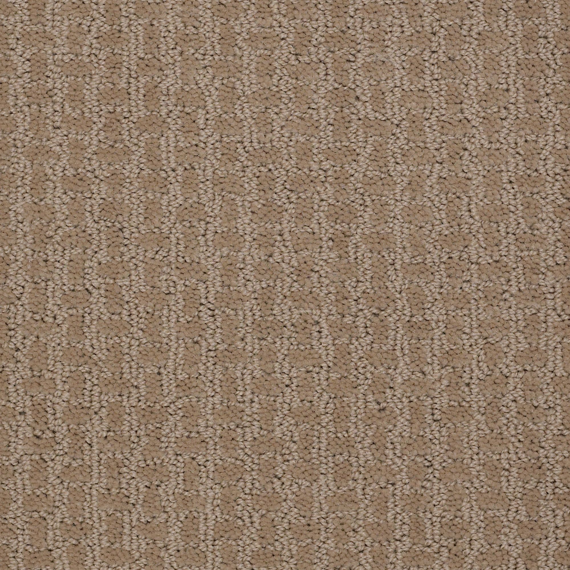 STAINMASTER 7L903 - 783 - SAMP (Sample) Music Row Biscotti Brown 25-oz sq yard Nylon Pattern Indoor Carpet