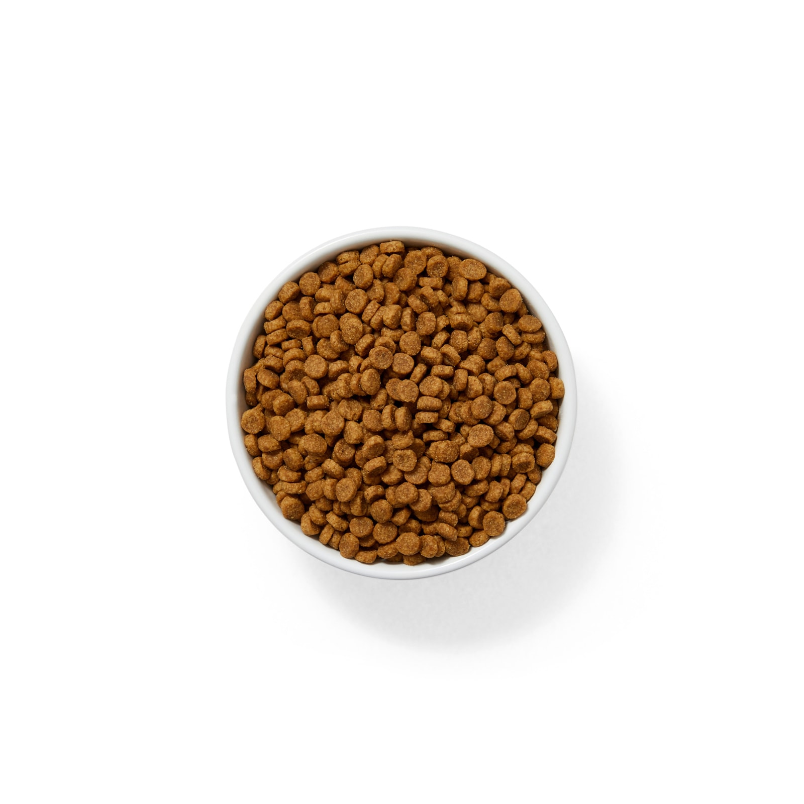 Wholehearted grain free cat food sale