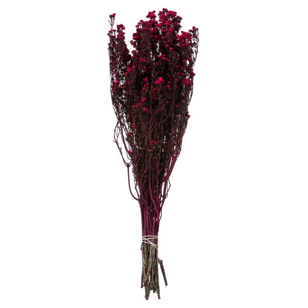 Vickerman H1PHY425-2 22-in Raspberry Indoor Preserved Artificial Plant