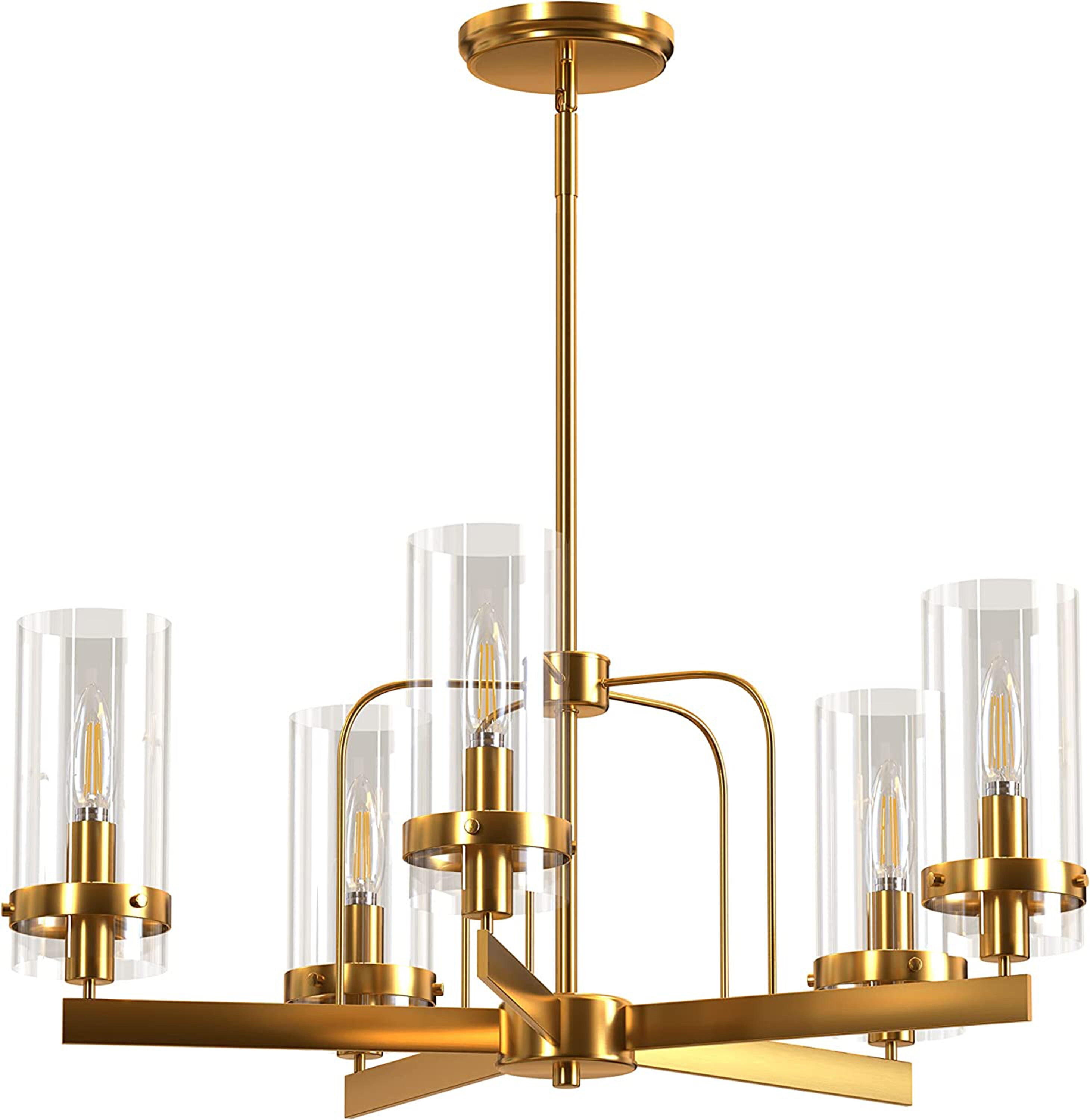 Sara Gold Finish 5-Light Chandelier with Glass Shades