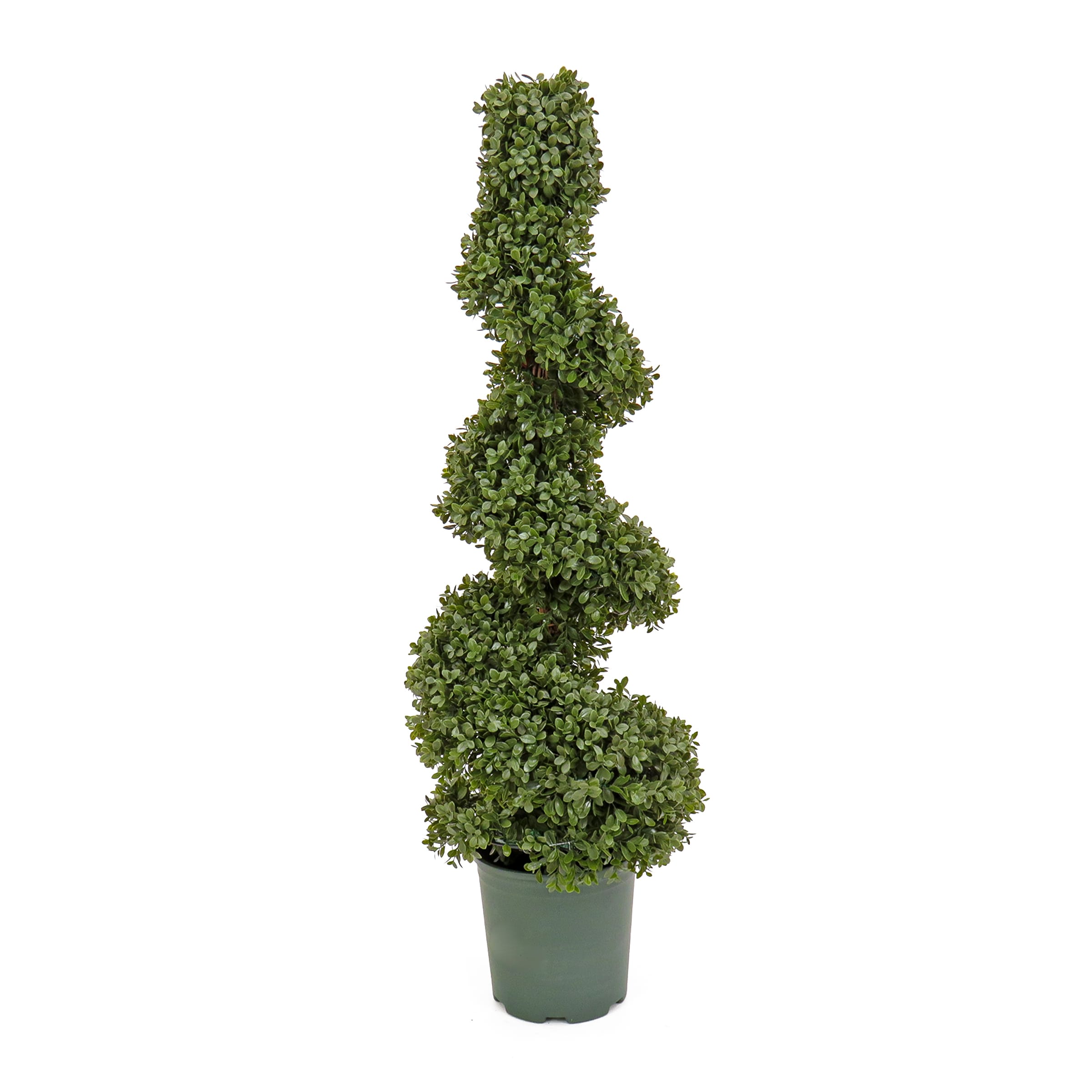 National Tree Company LBXM63-800-44U 44-Inches Green Indoor/Outdoor Floor Boxwood Artificial tree