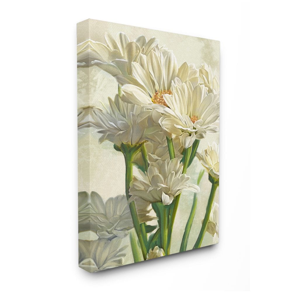 Stupell Industries AB-915-CN-16X20 Study of White Daisy Petals Spring Florals Ziwei Li Gallery Wrapped Canvas 20-in H x 16-in W Floral Canvas Print