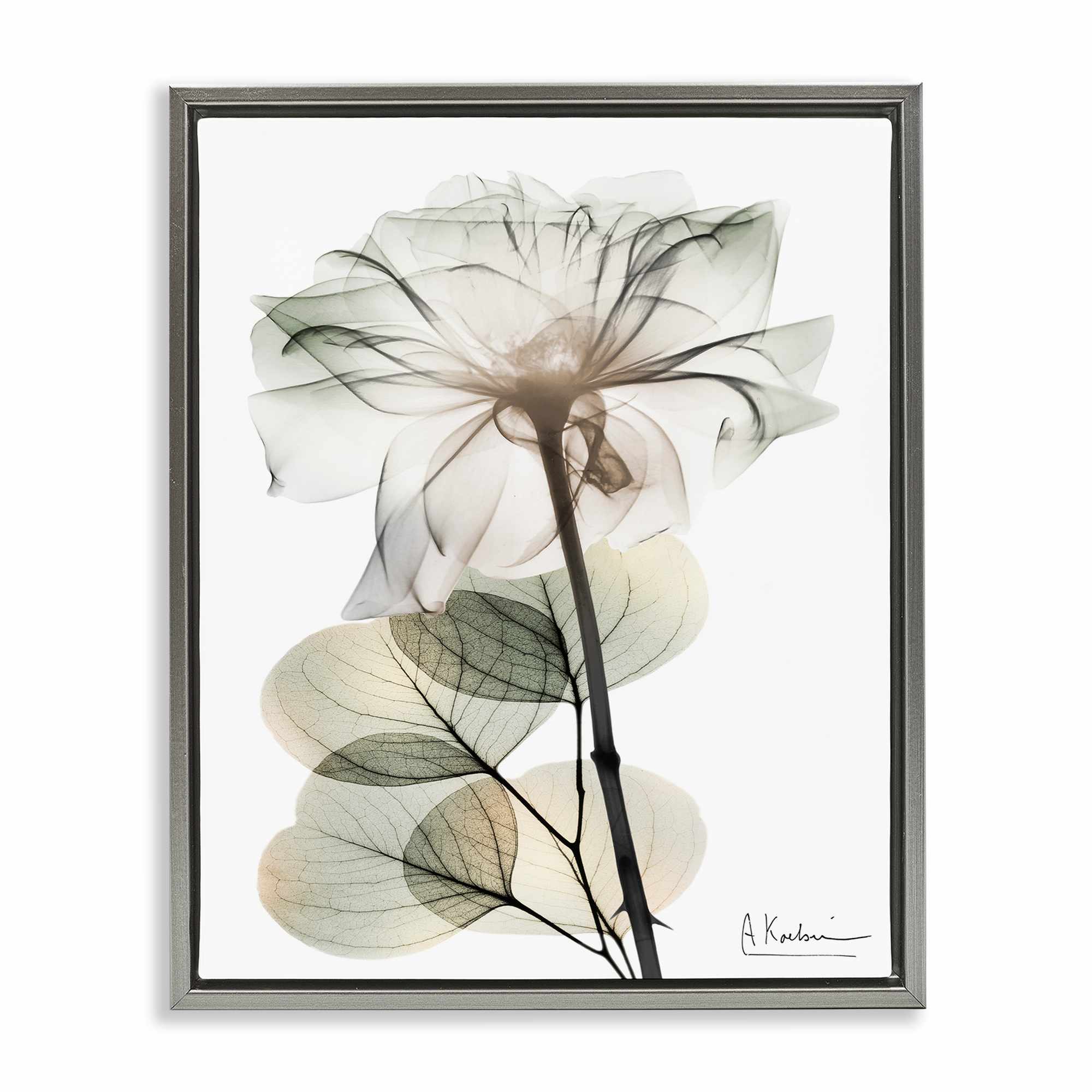 Stupell Industries BS-011-FFL-24X30 Modern Minimalist Buds Gray Framed Floater Canvas Wall Art By Albert Koetsier 25 x 31