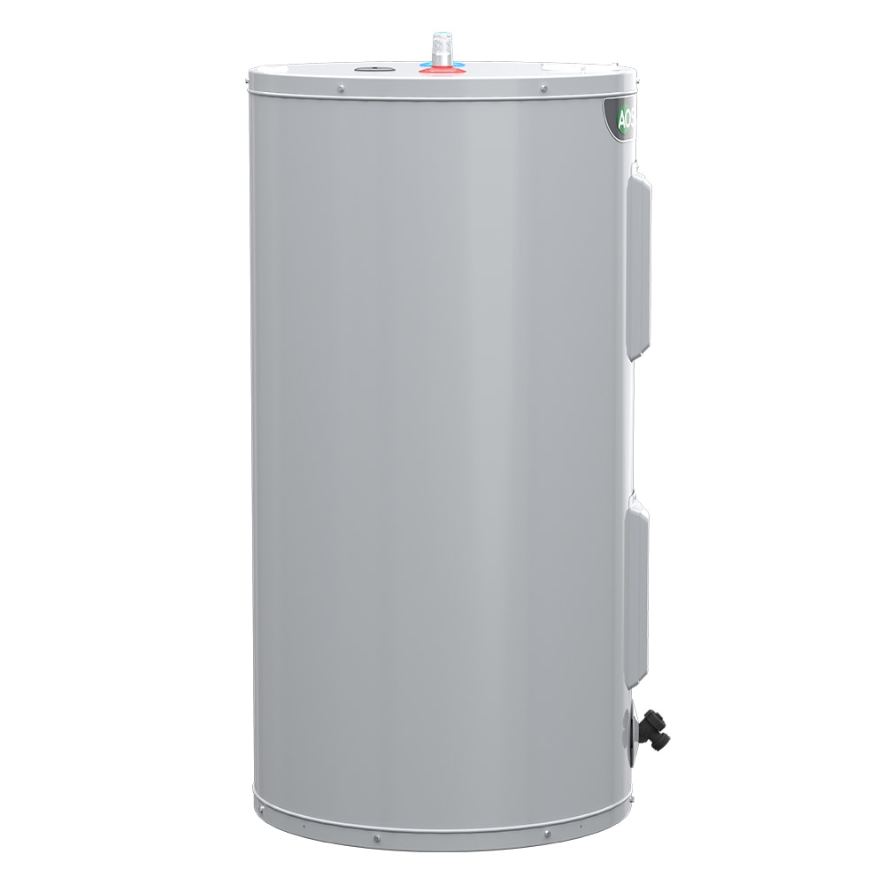 A.O. Smith Signature 100 30-Gallon Short 6-year Warranty 4500-Watt Double  Element Electric Water Heater in the Water Heaters department at