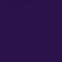 2PCS Black Purple Light