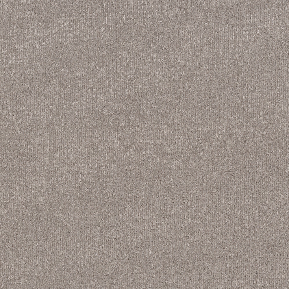 STAINMASTER PetProtect 7L946-111-SAMP (Sample) 8-in x 8-in with LeakDefense Plush Purr Chic Greige Brown 34.1-oz sq yard Solution-dyed polyester Pattern Indoor Carpet