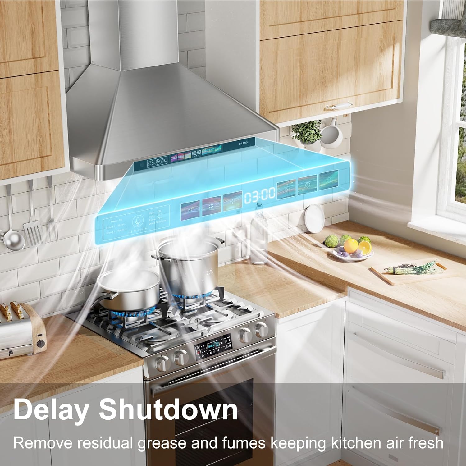 Damerin IU-RD10 Wall-Mounted-Range-Hoods - View #8