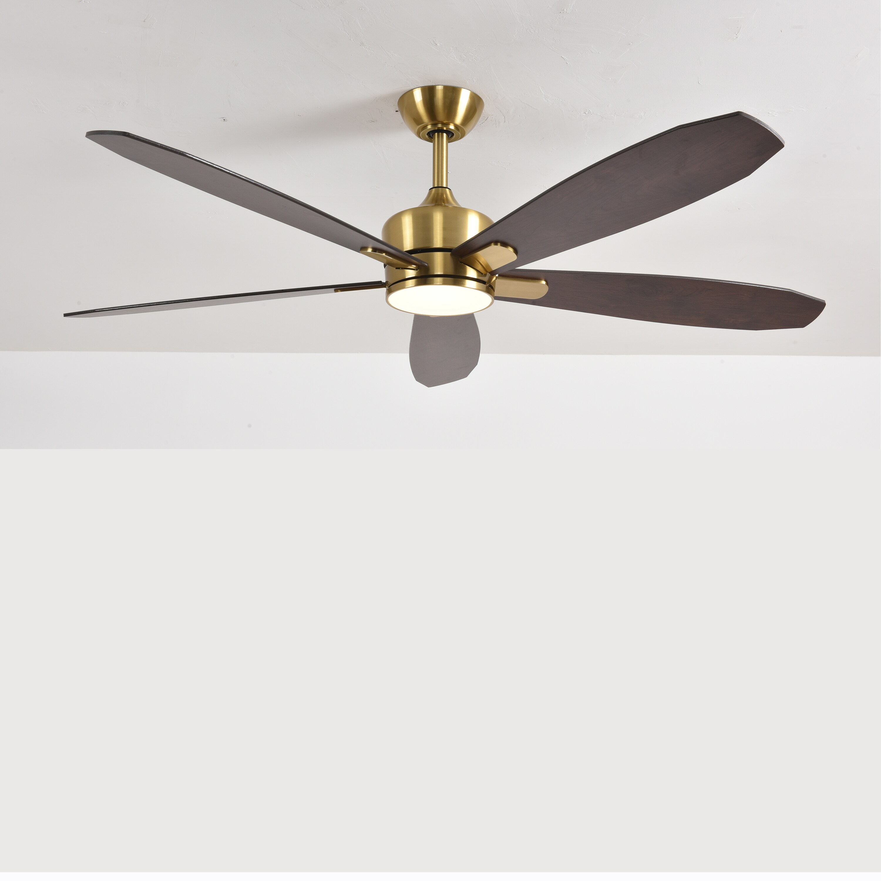 ALTITUDE DRGFY56-MCPRBODCMTR Ceiling-Fans - View #19