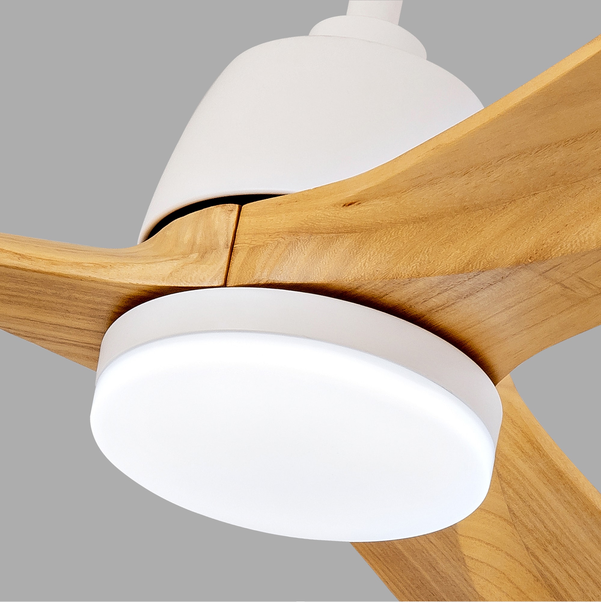 BABOOM BOM-P285766-OR Ceiling-Fans - View #17