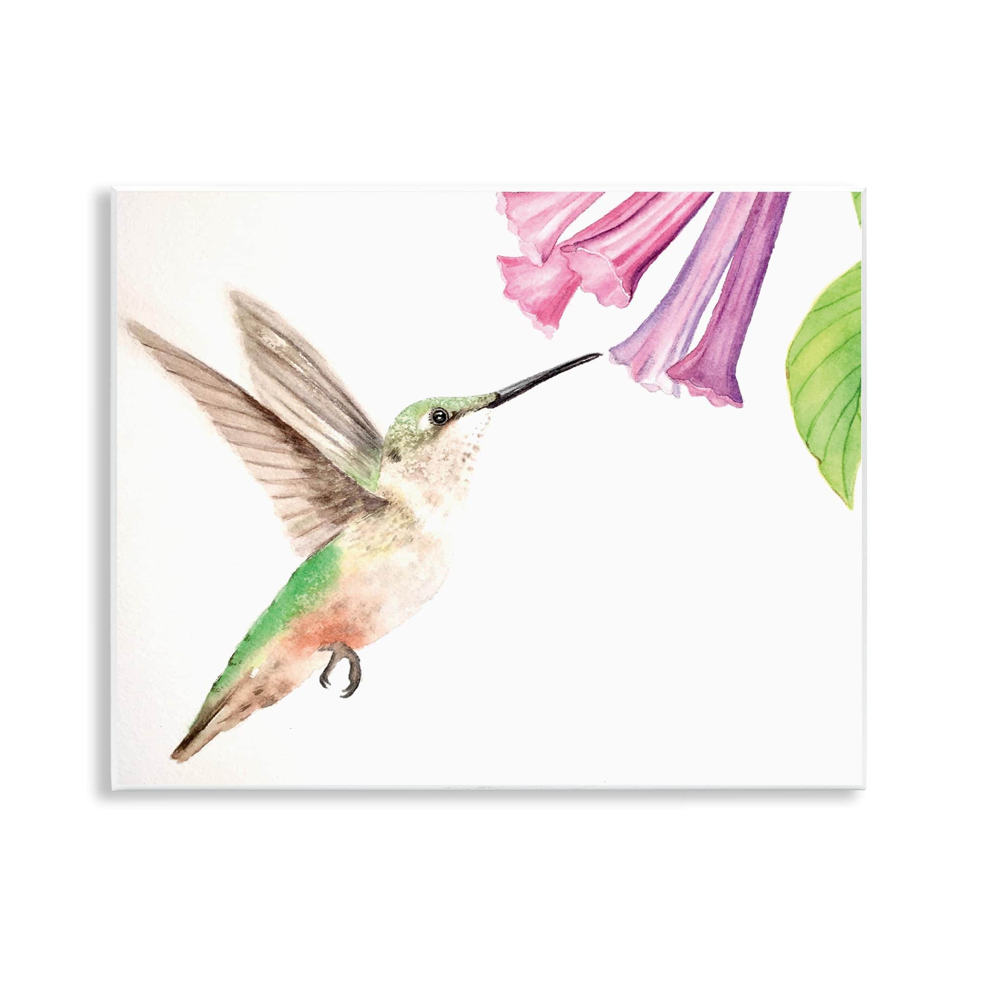 Stupell Industries BS-575-WD-11X14 Hummingbird and Bluebell Flower Wall Plaque Art By Stephanie Fielden 14 x 11