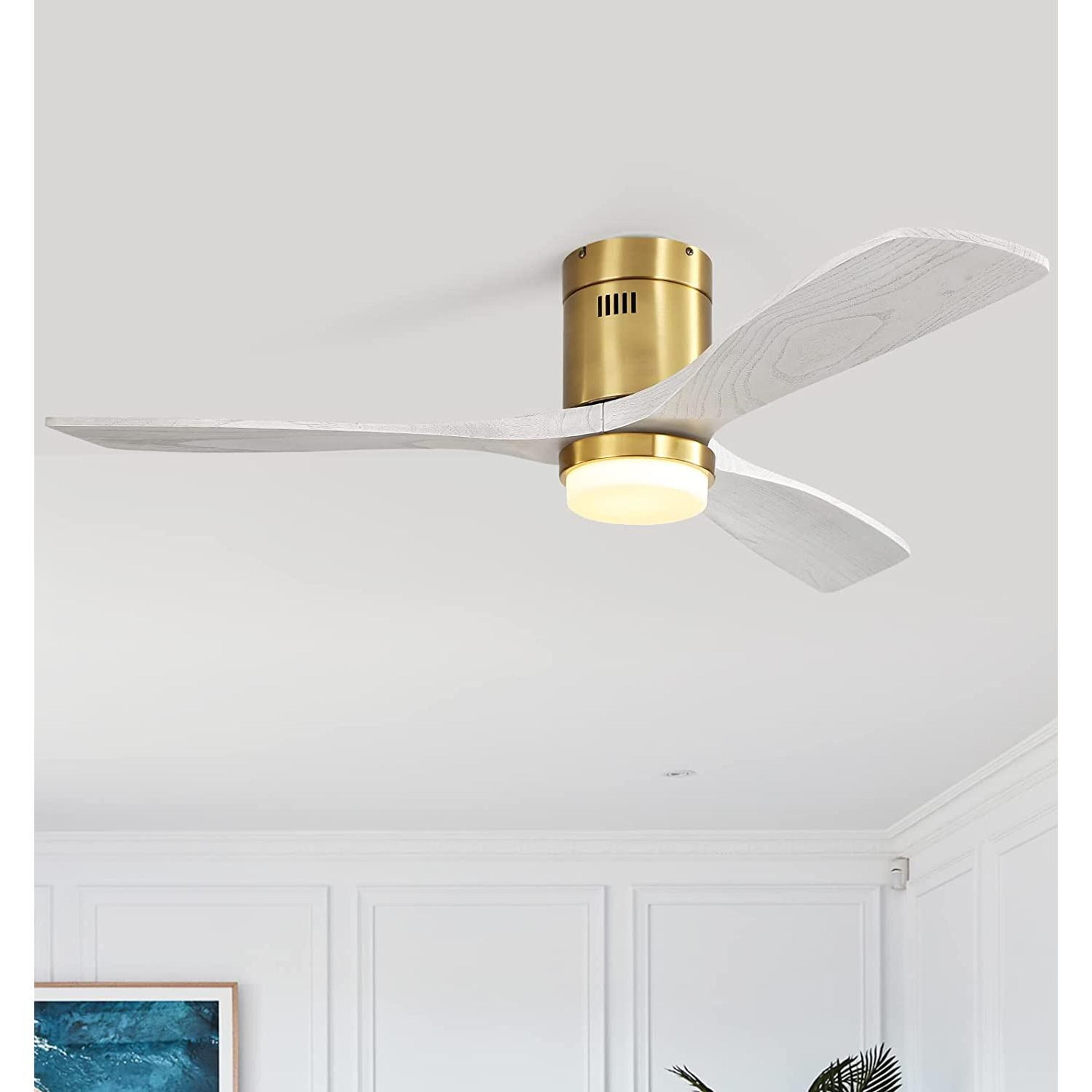Bayfeve BFKS-52144BG Ceiling-Fans - View #6