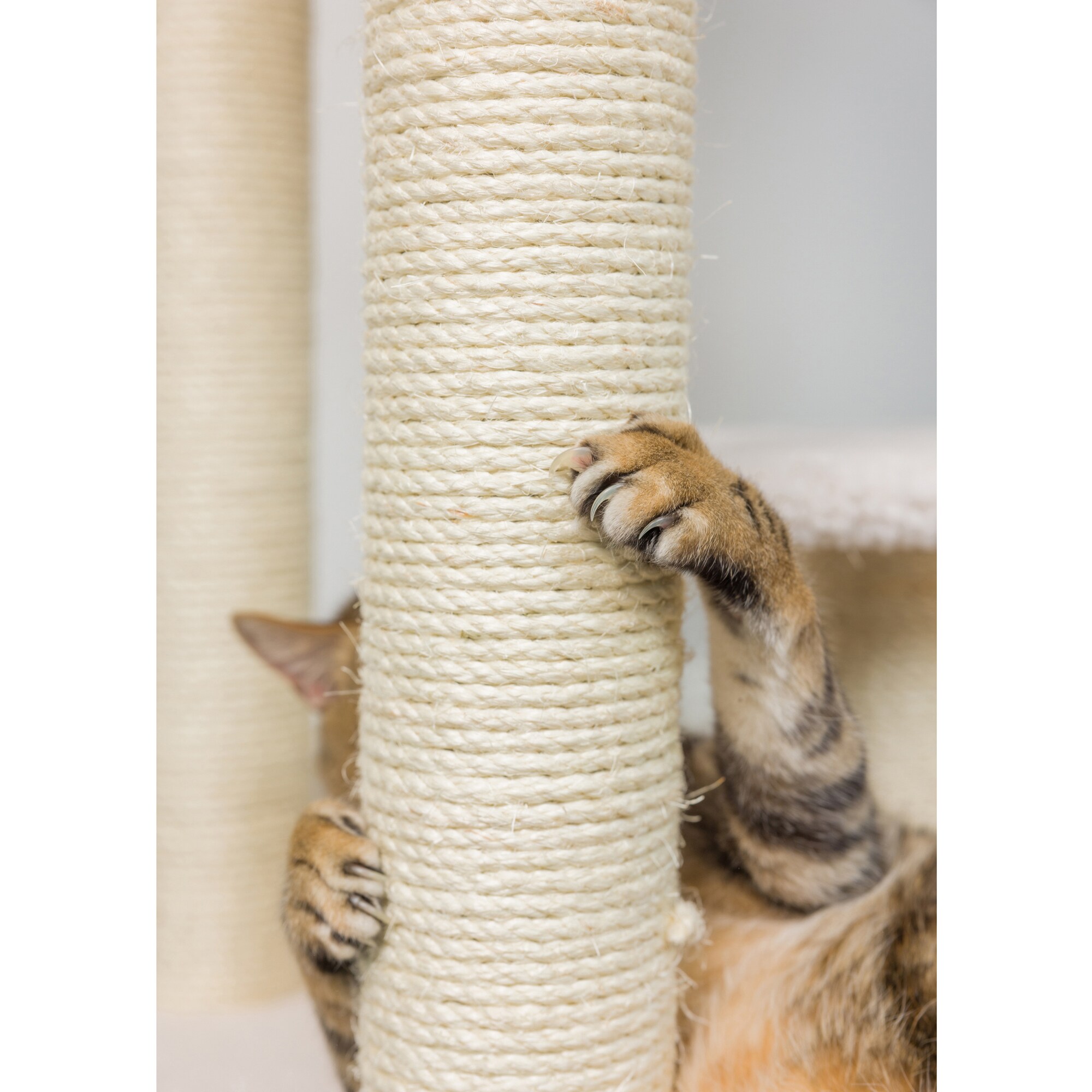 Armarkat B3803 Cat-Trees - View #9