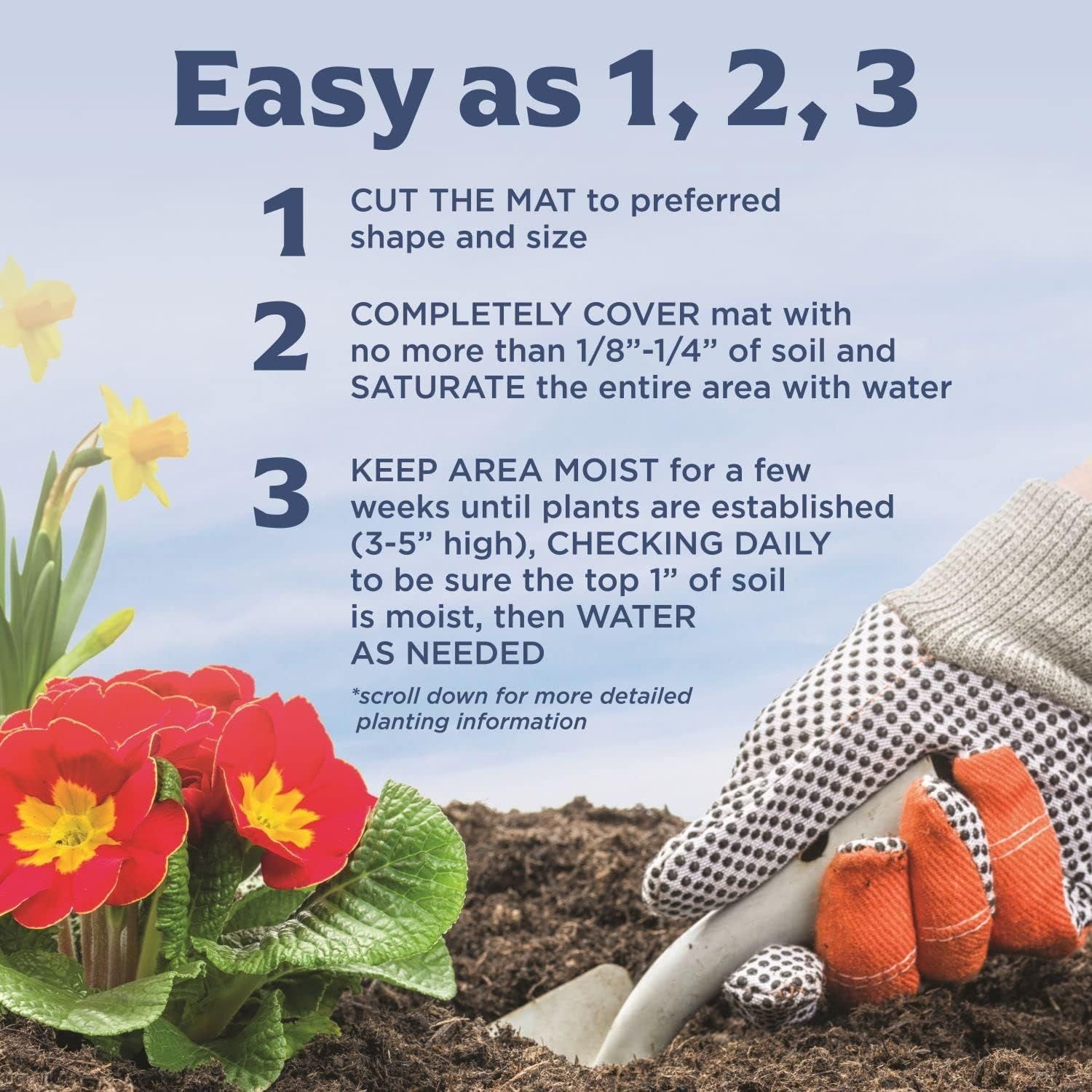 BloomingBulb 51117 seeds - View #5