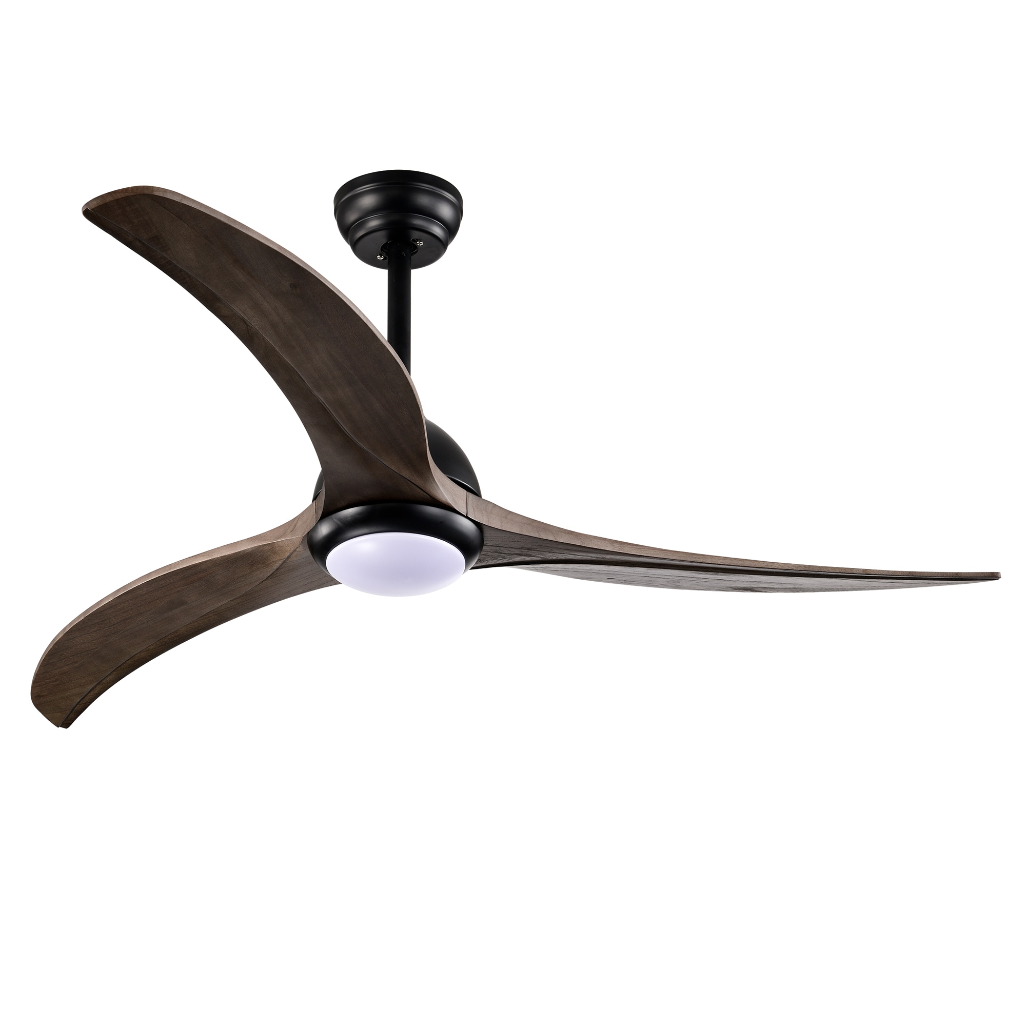 Fun Orange FUNQ3CF13 Ceiling-Fans - View #15