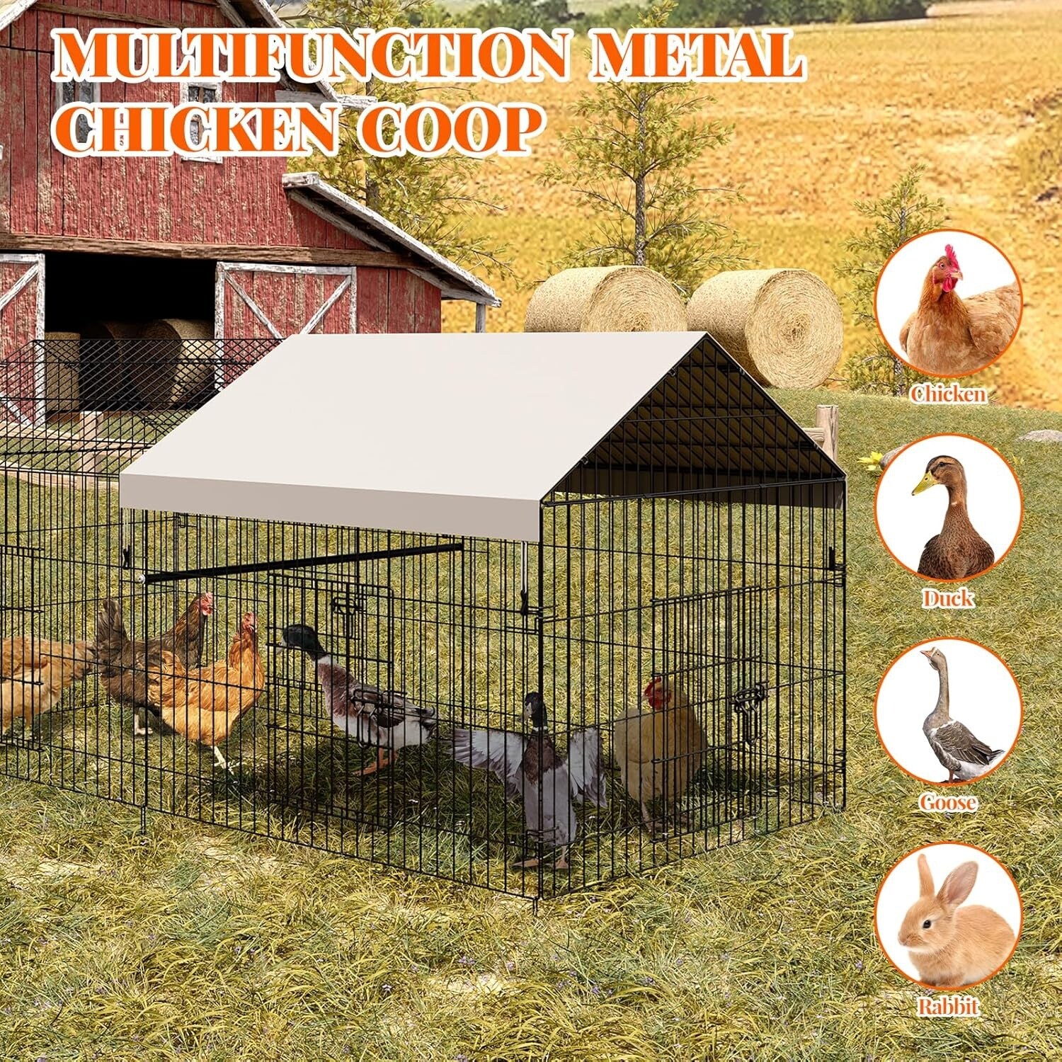 GarveeLife LMYJW-5809 Chicken-Coops-Rabbit-Hutches - View #6